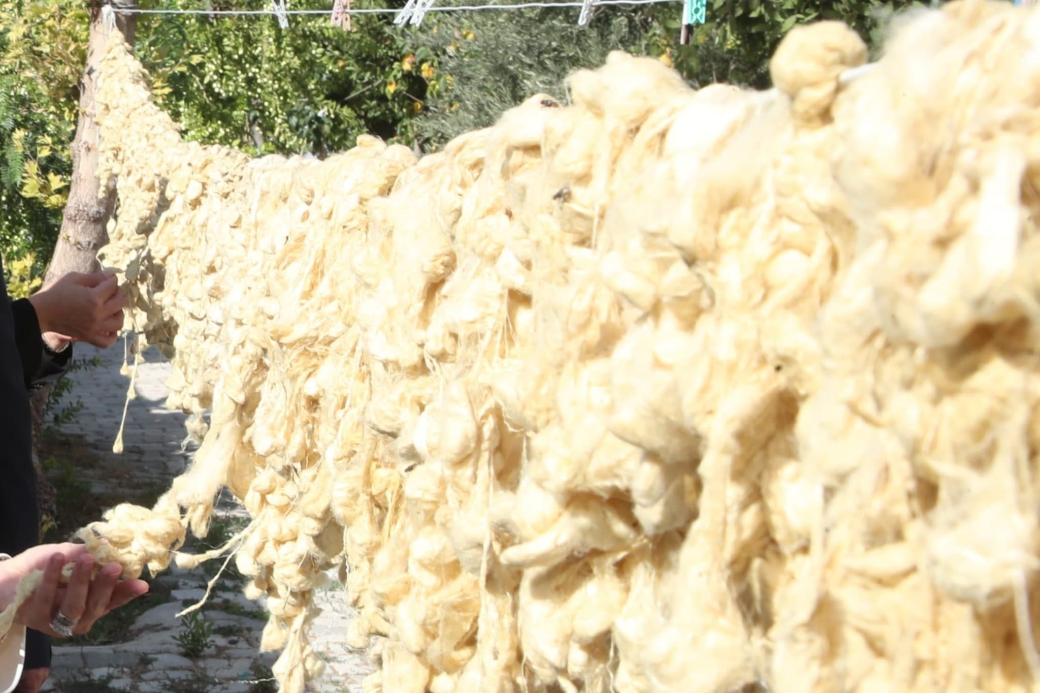 İpek Dokumacılığı