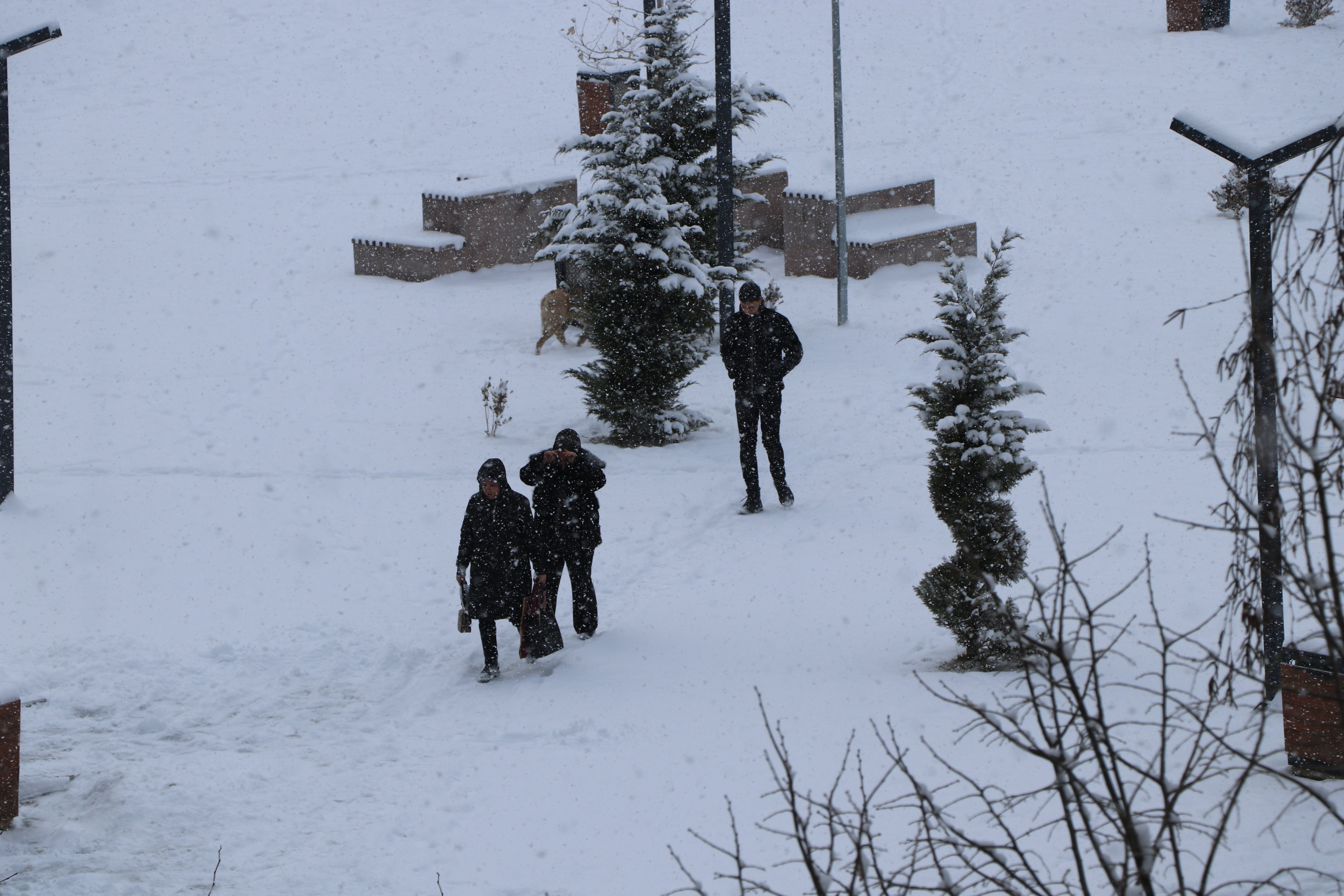Van kar mücadelesi belediye ekipleri