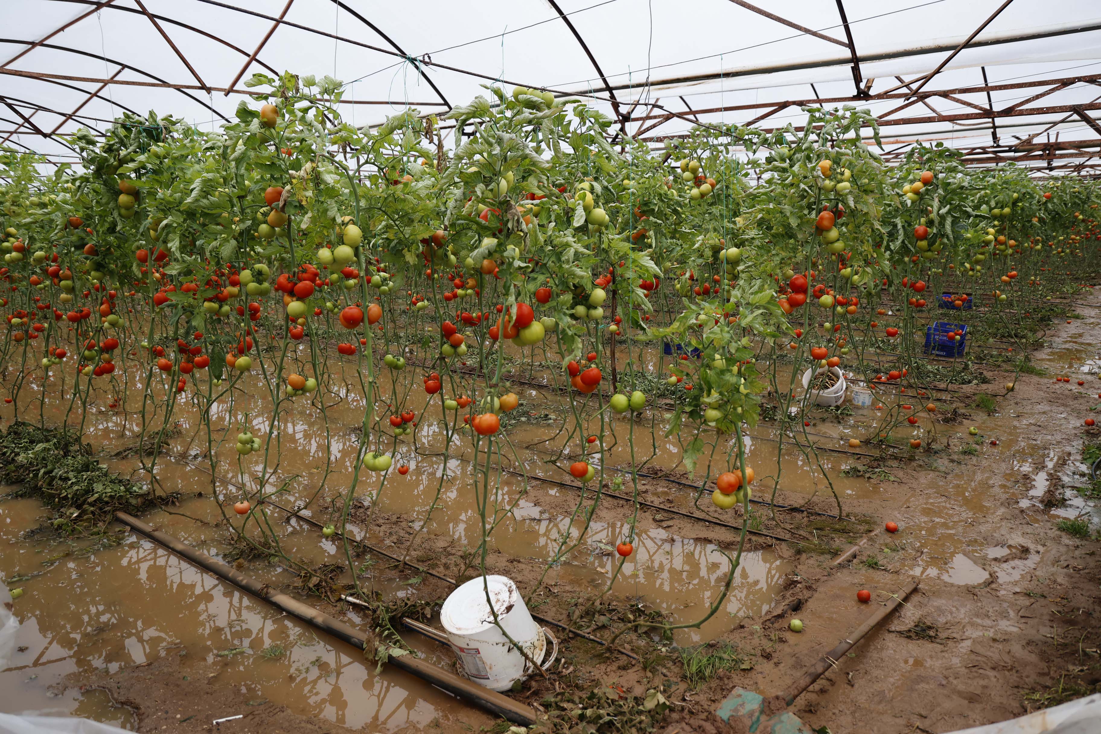 Antalya sel araç mahsur