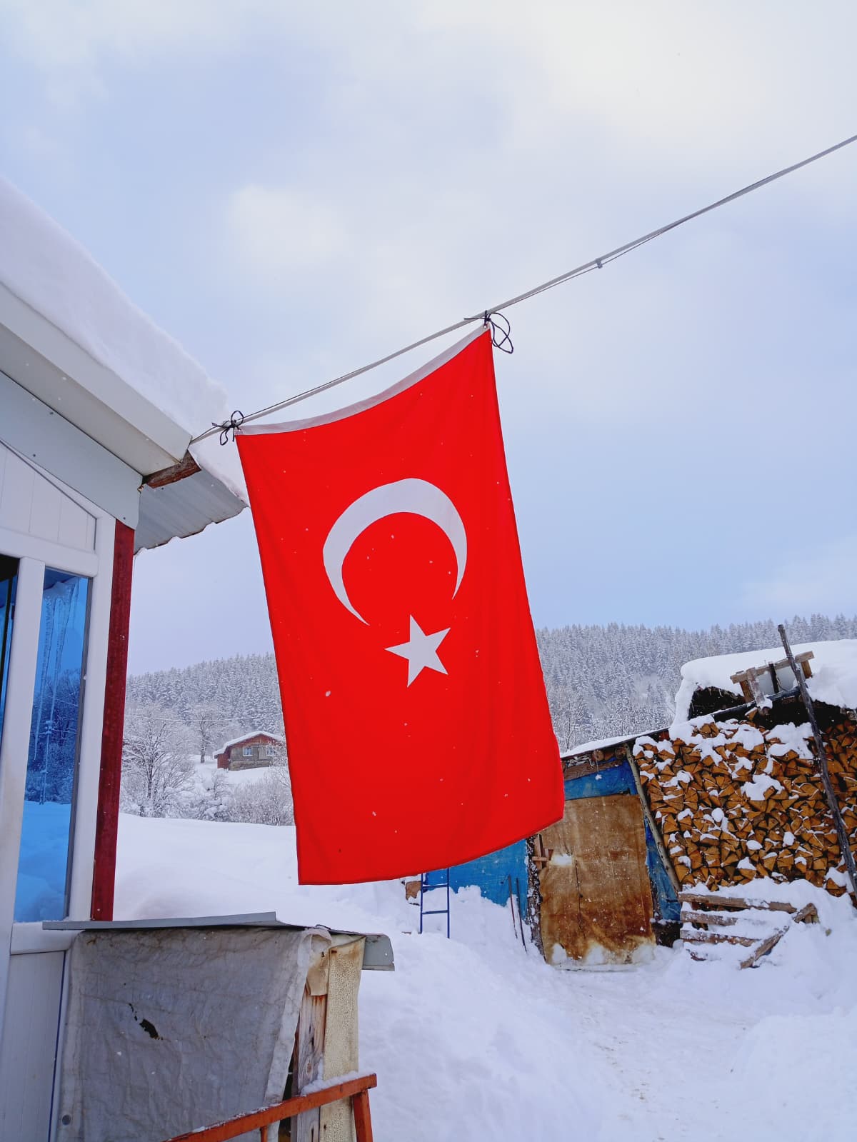 Karlı bölgede ev ve bayrak