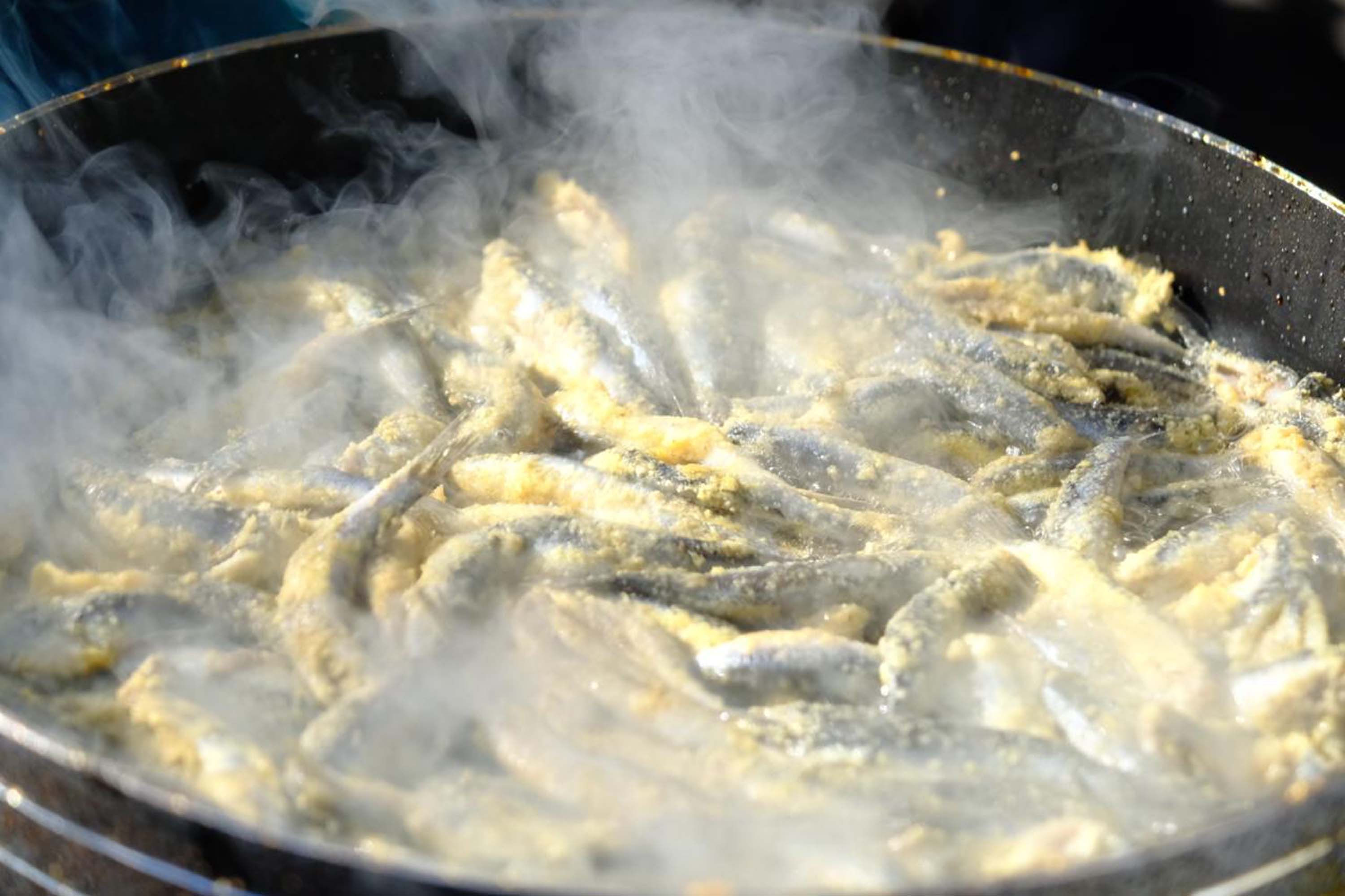 Bodrum Hamsi Festivali Horon