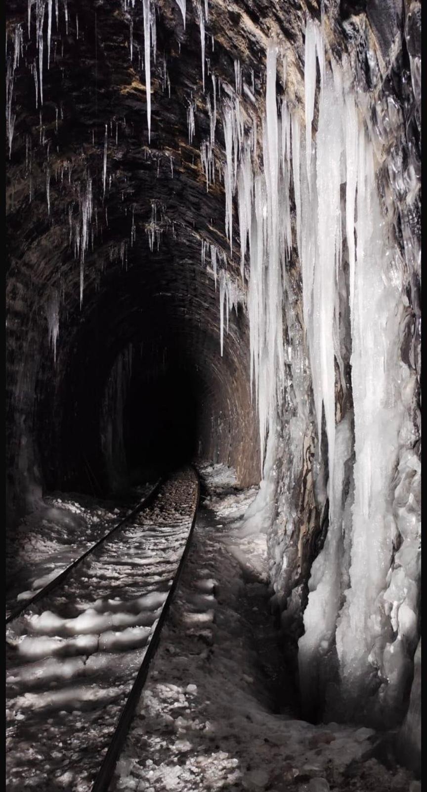 TCDD makas temizliği