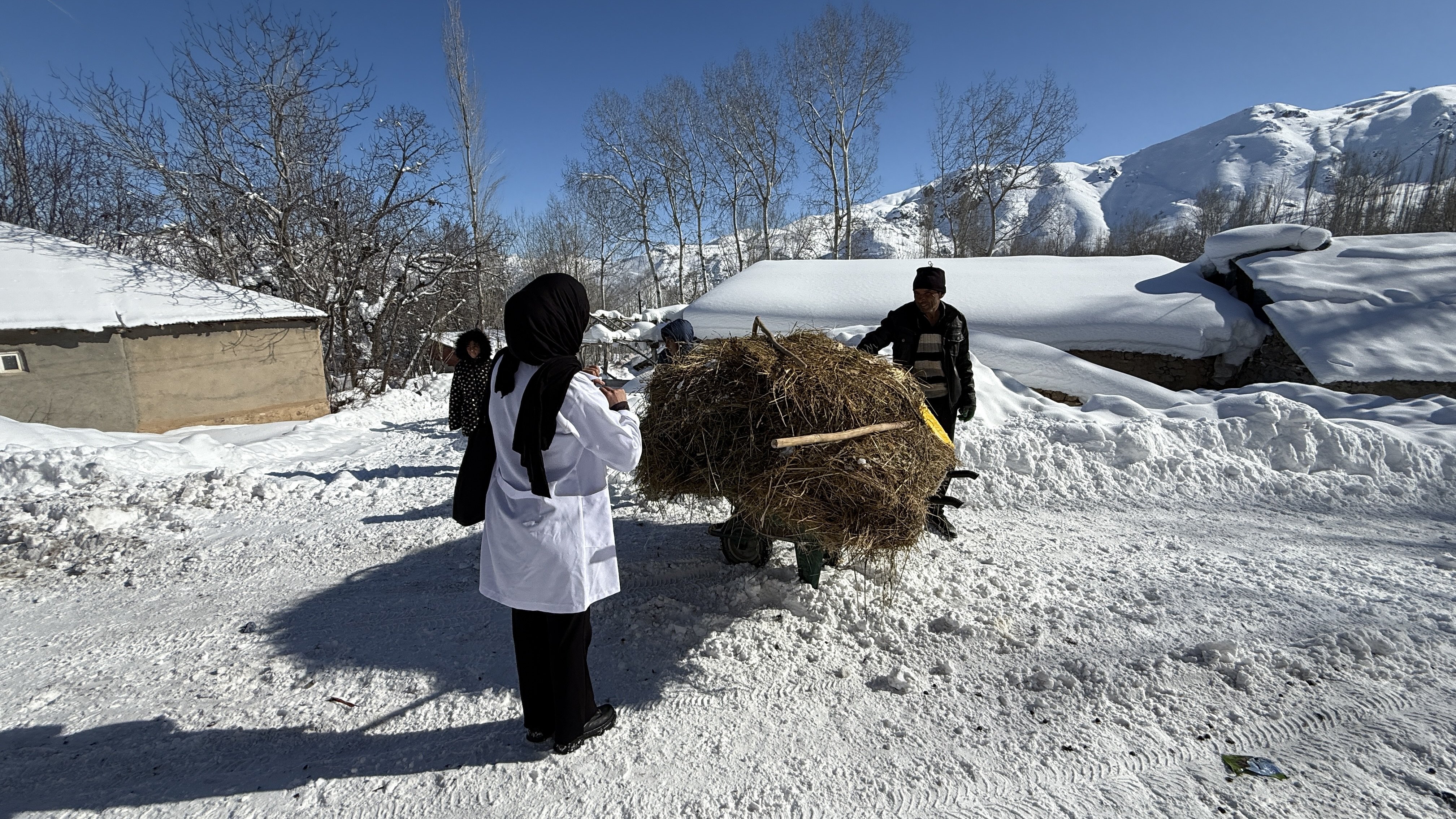 Türkiye Dış Politika Ekonomi