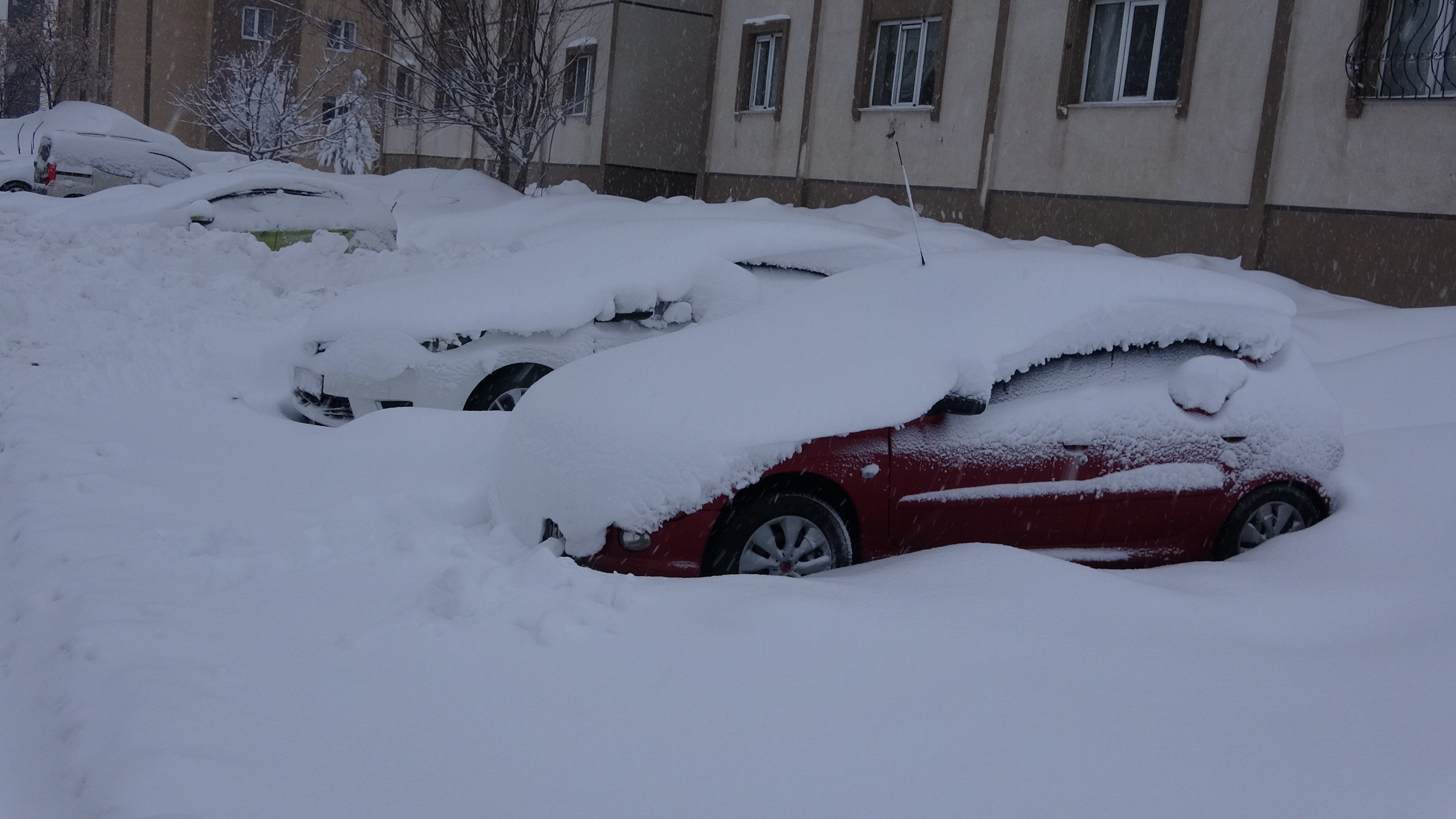 Bitlis kar altında kalan araçlar