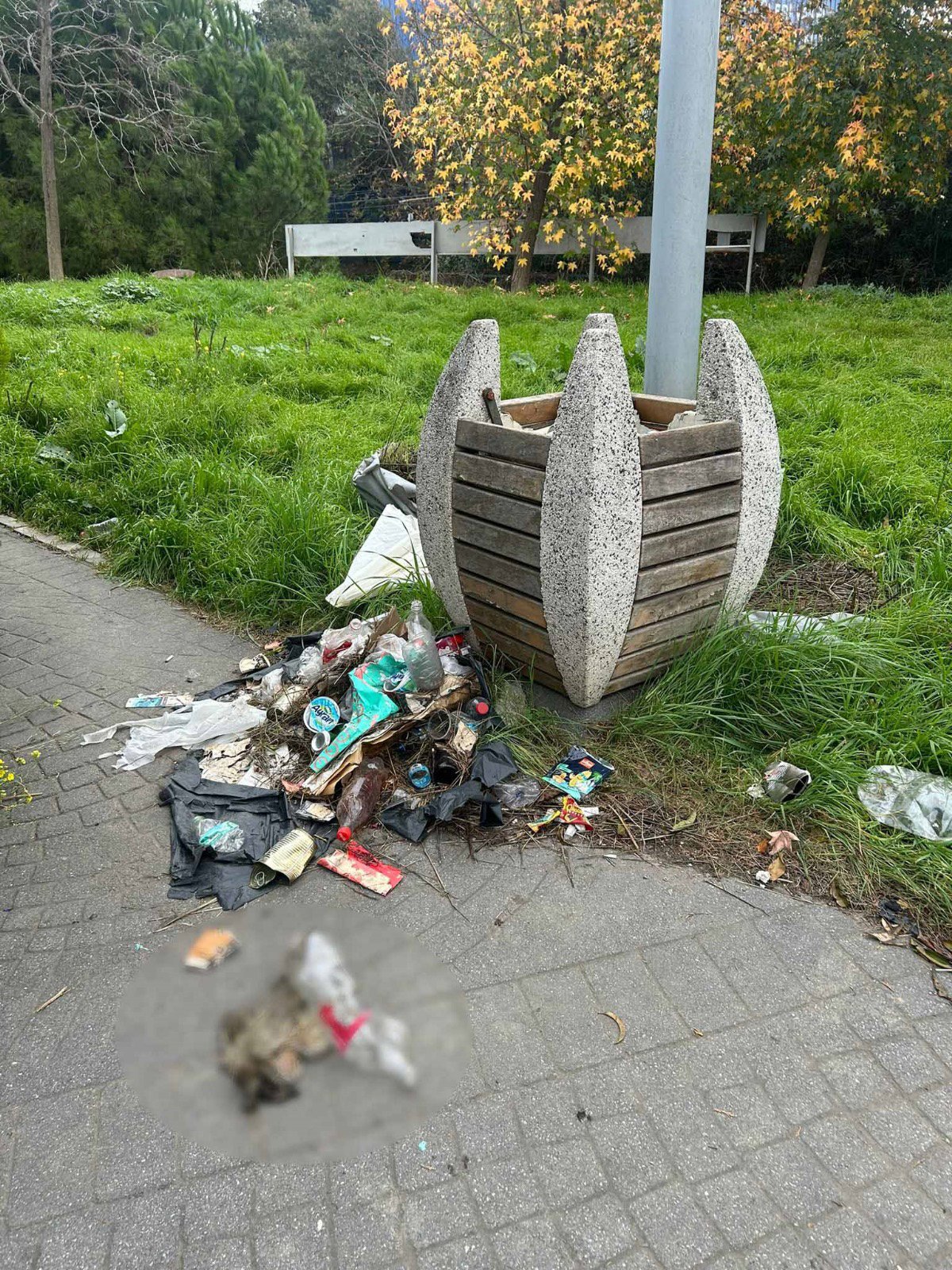 Bakırköy Botanik Parkı hayvan ölümleri