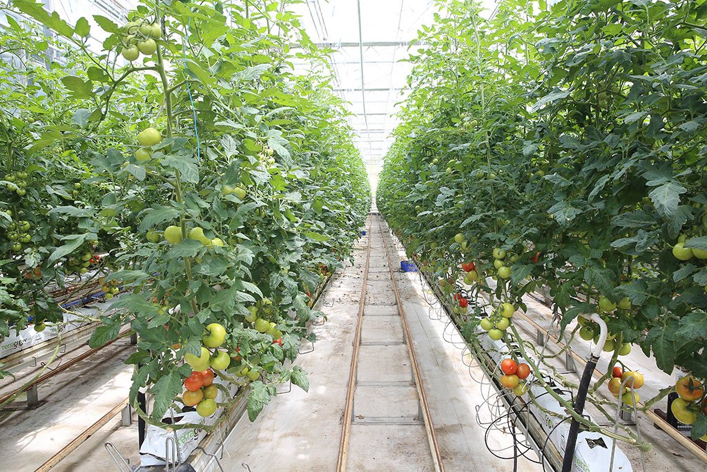 Kayseri Büyükşehir Belediyesi Katı Atık Tesisi