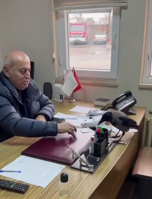 Belediye Başkanı Cahit Erdem kargaya ekmek veriyor