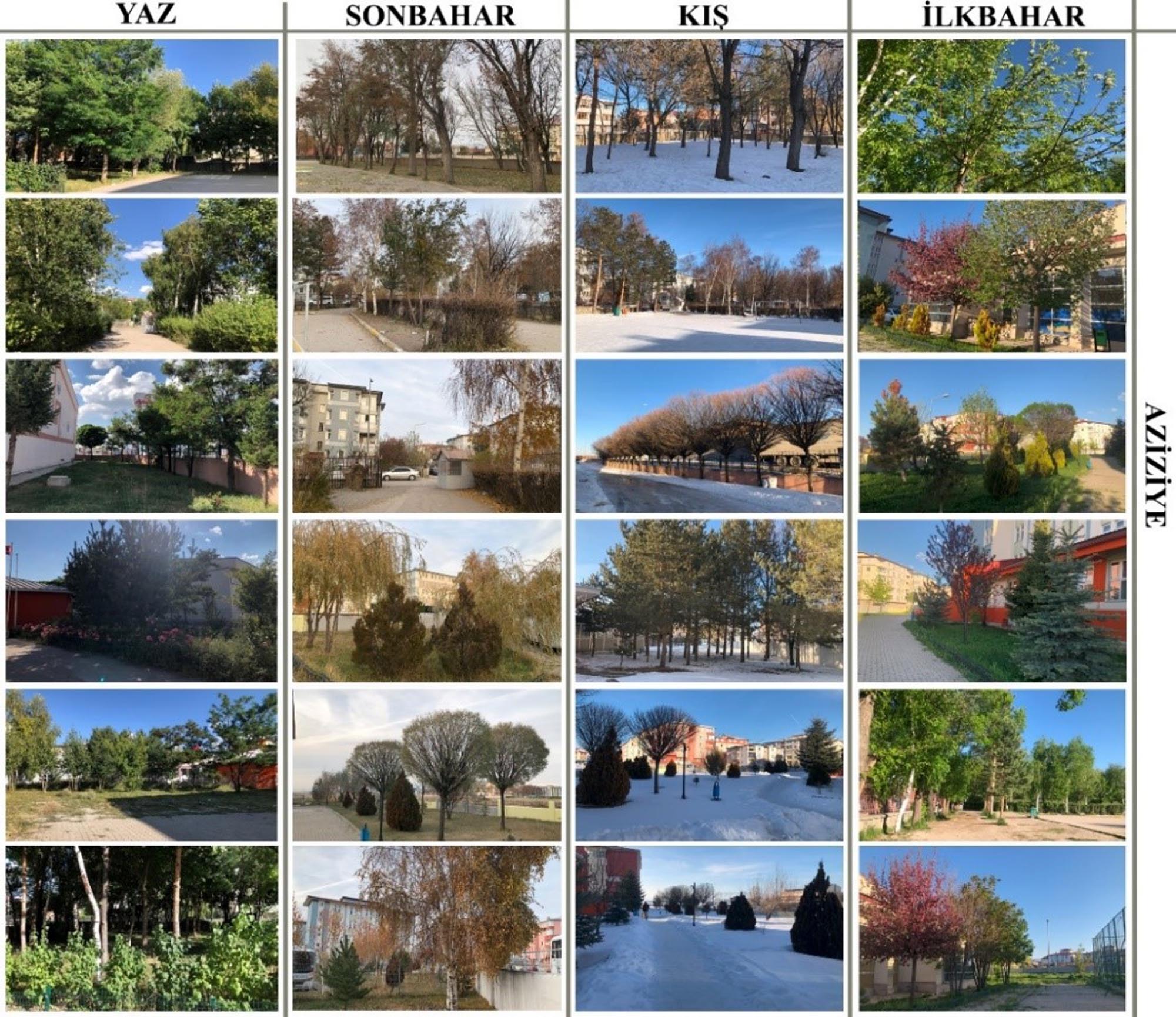 Didem İlbaş Okul Bahçesi Araştırması