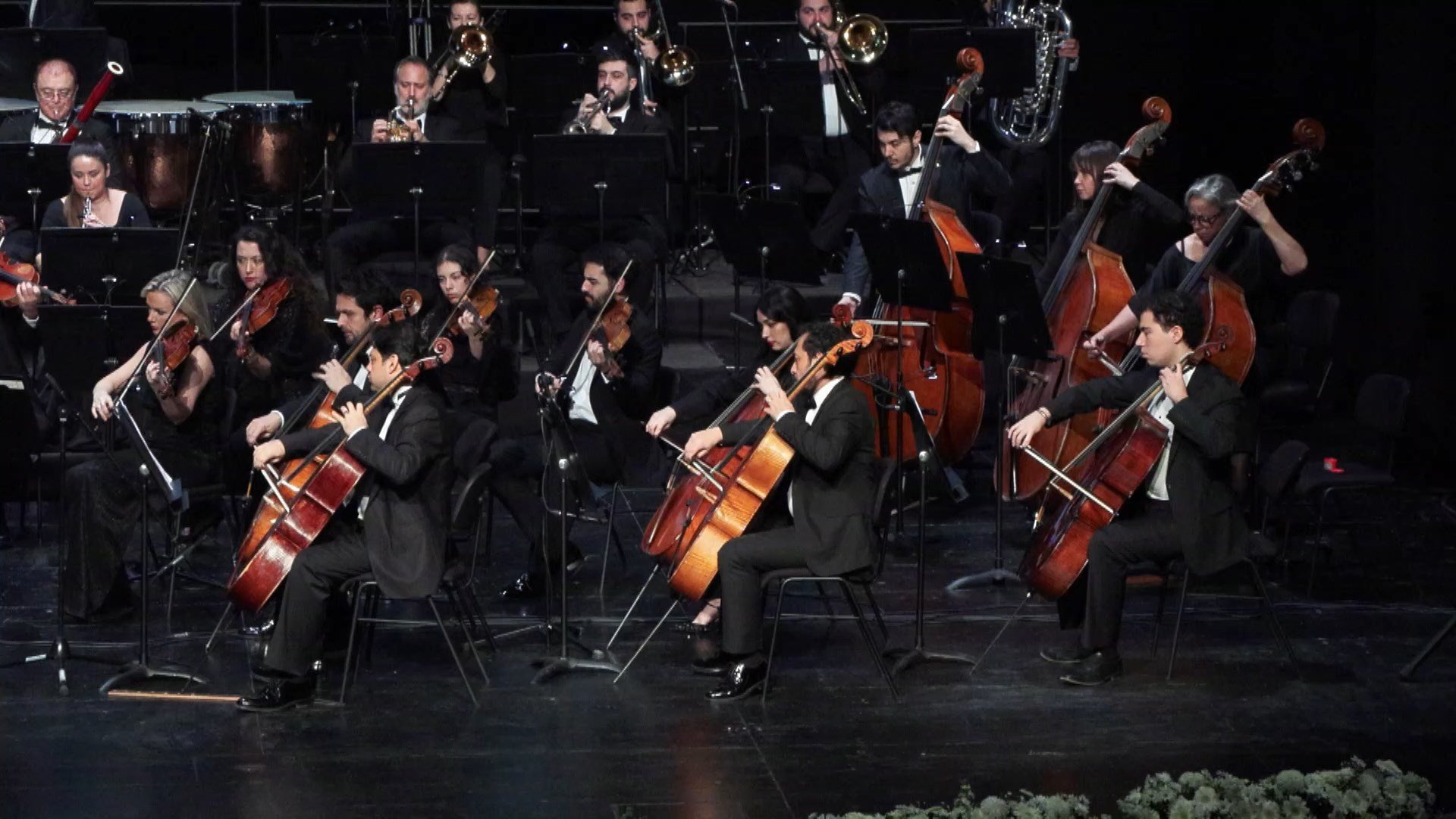 Necmeddin Bilal Erdoğan Konser