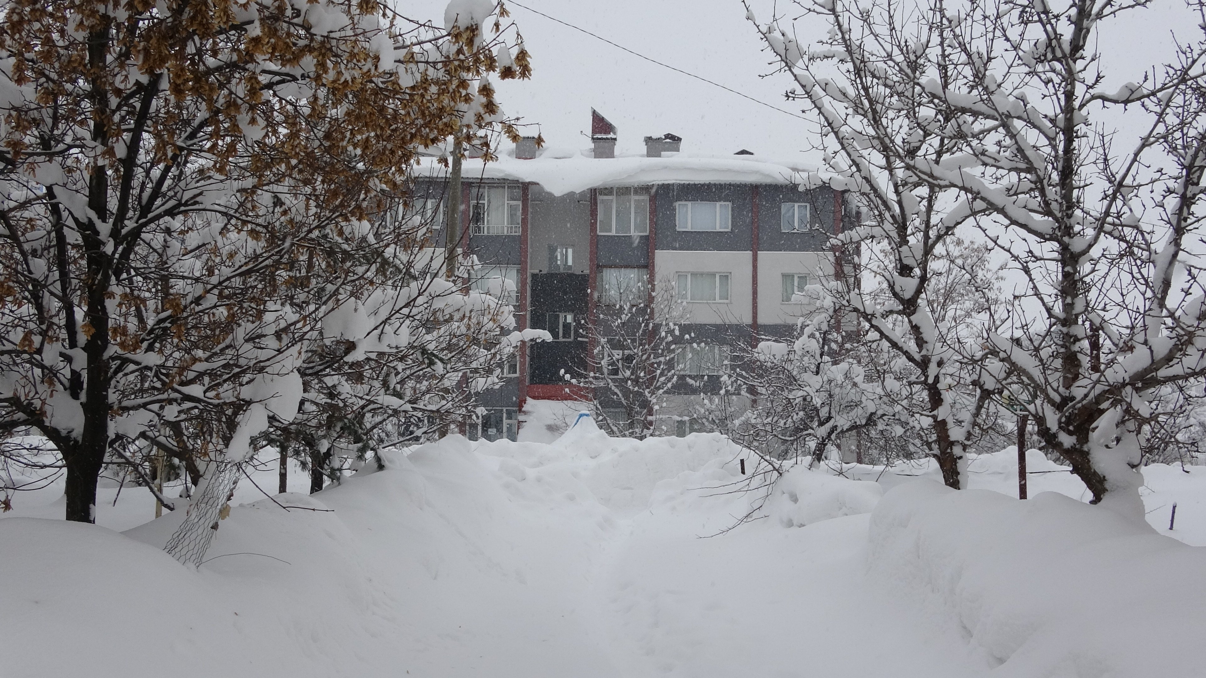 Bitlis köy yolu kapalı