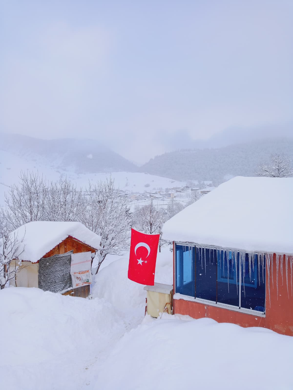 Ay yıldız figürlü çatı genel görünüm