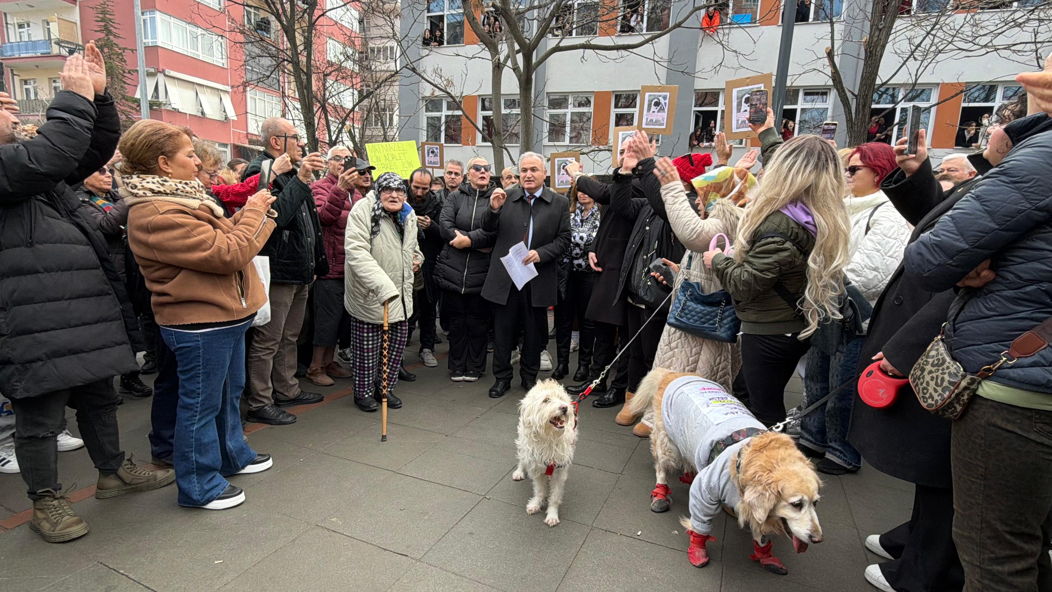 Hayvanseverler Matmazel için toplandı
