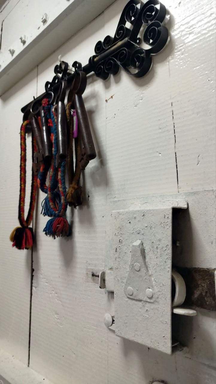 Hakan Fidan basın toplantısı