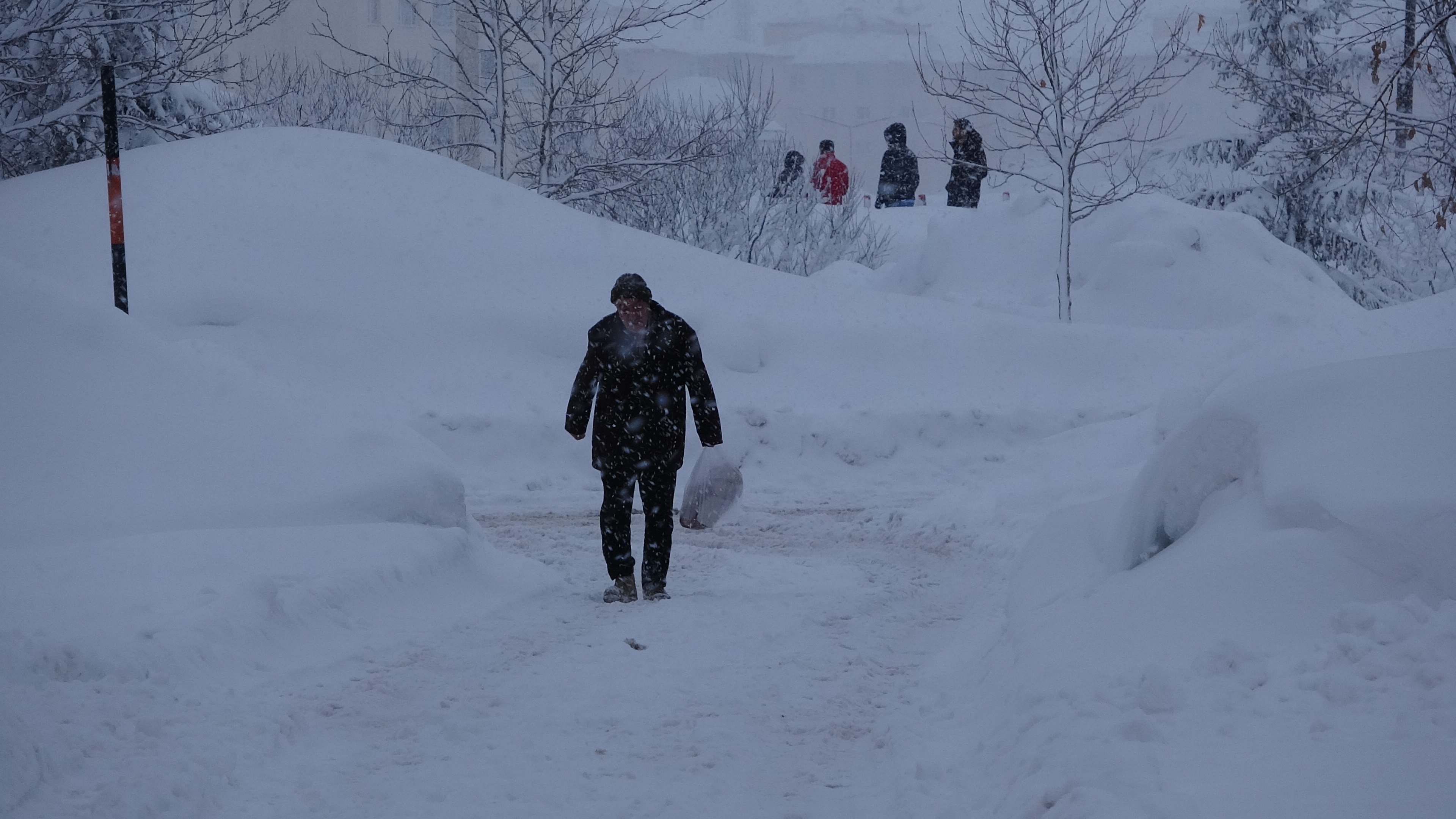 Bitlis İl Özel İdaresi kar temizleme çalışması