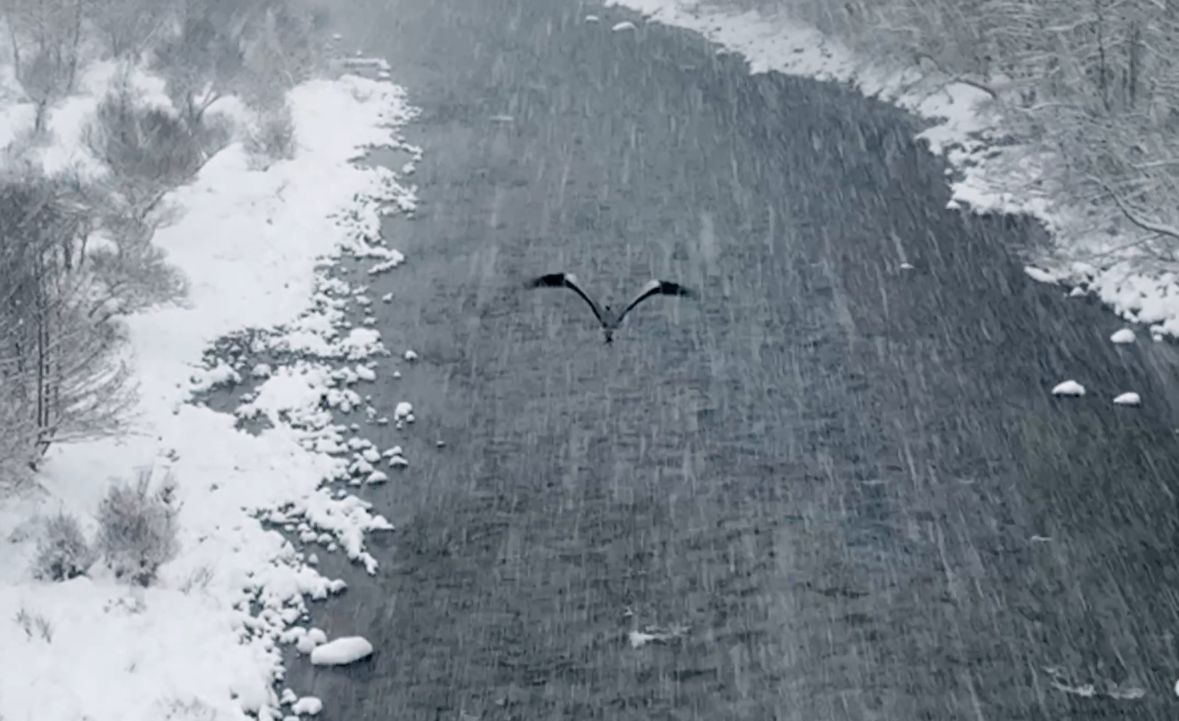 Munzur Vadisi milli parkı kar