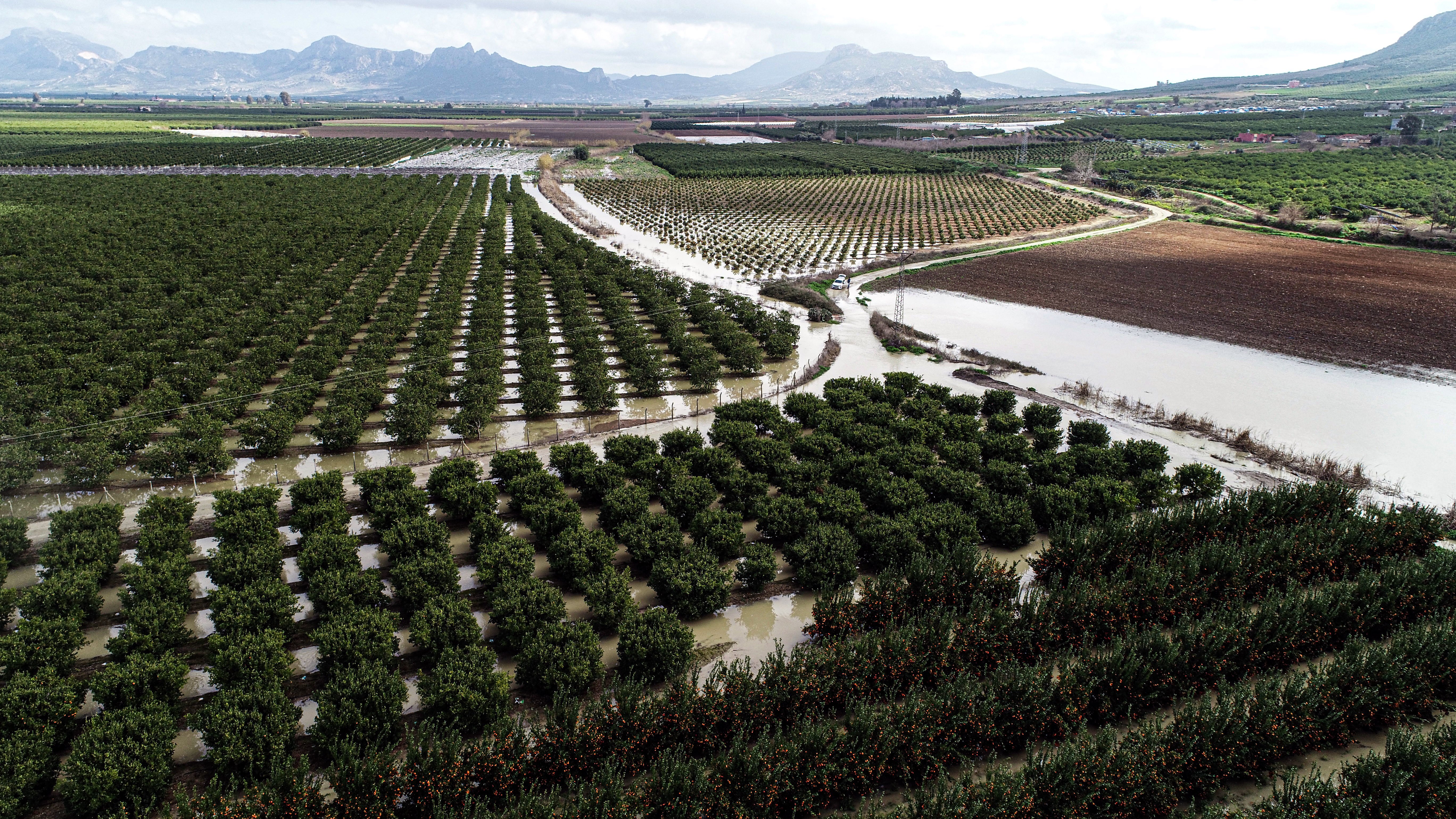 Adana çiftçiler destek çağrısı