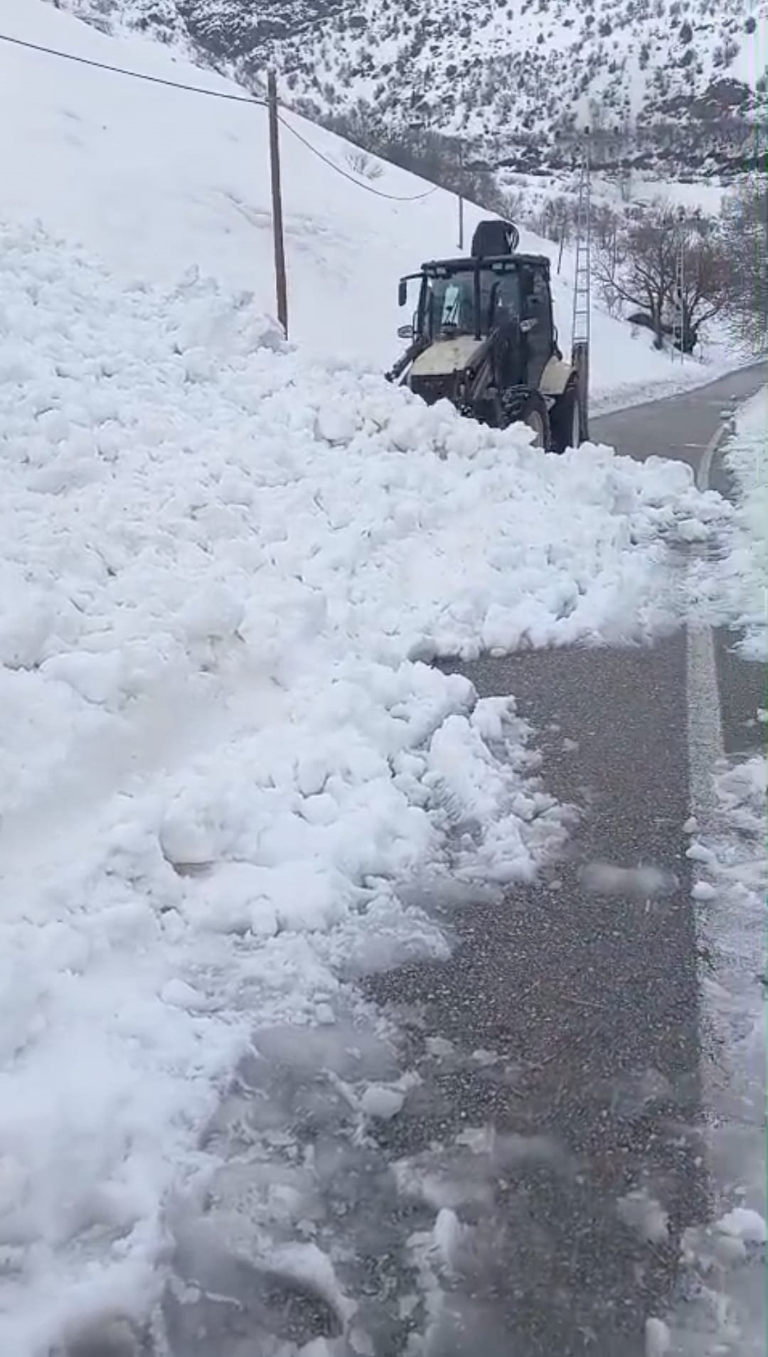 Van Çatak çığ felaketi iş makinesi