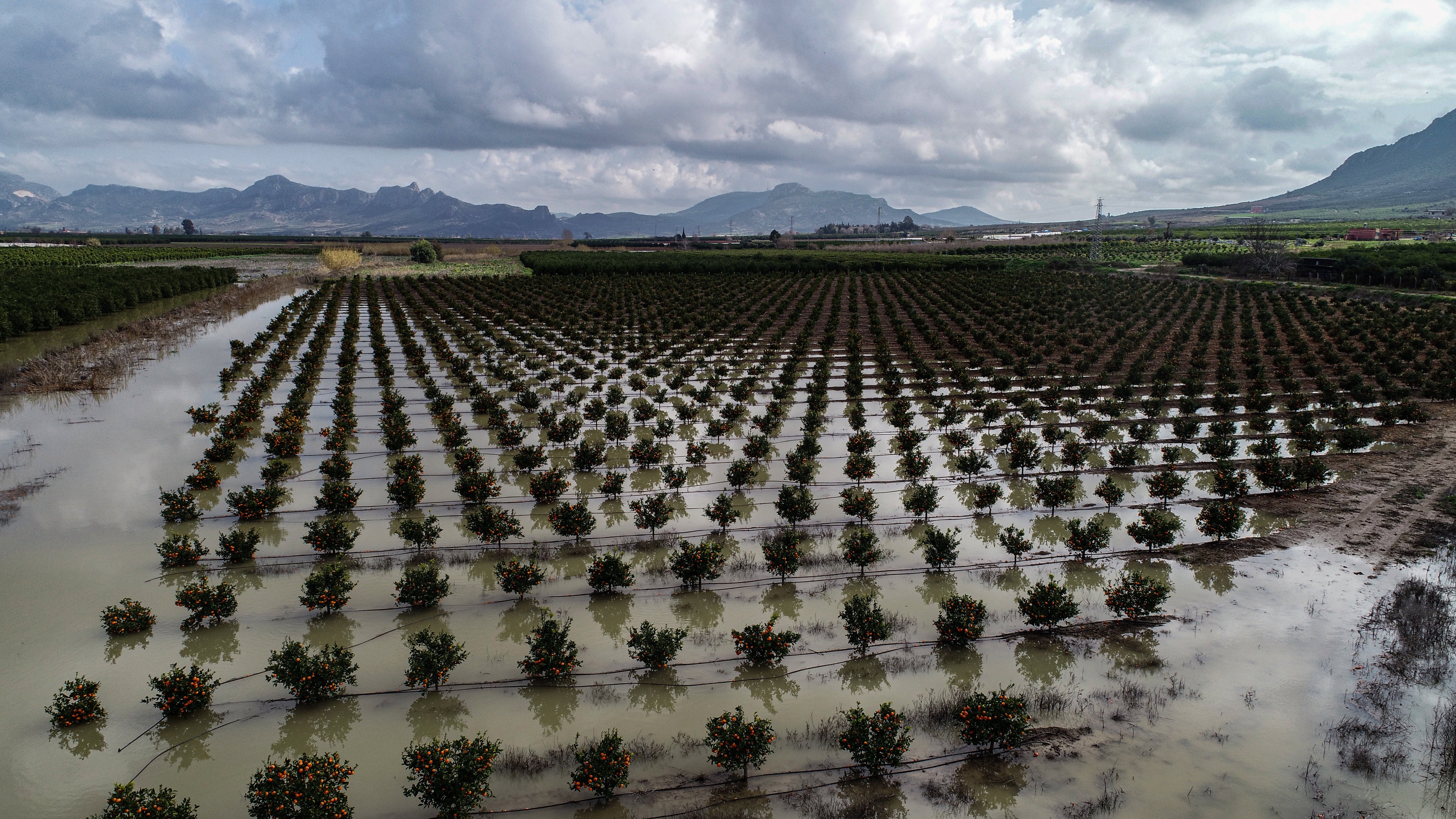 Adana sel felaketi tarım arazileri