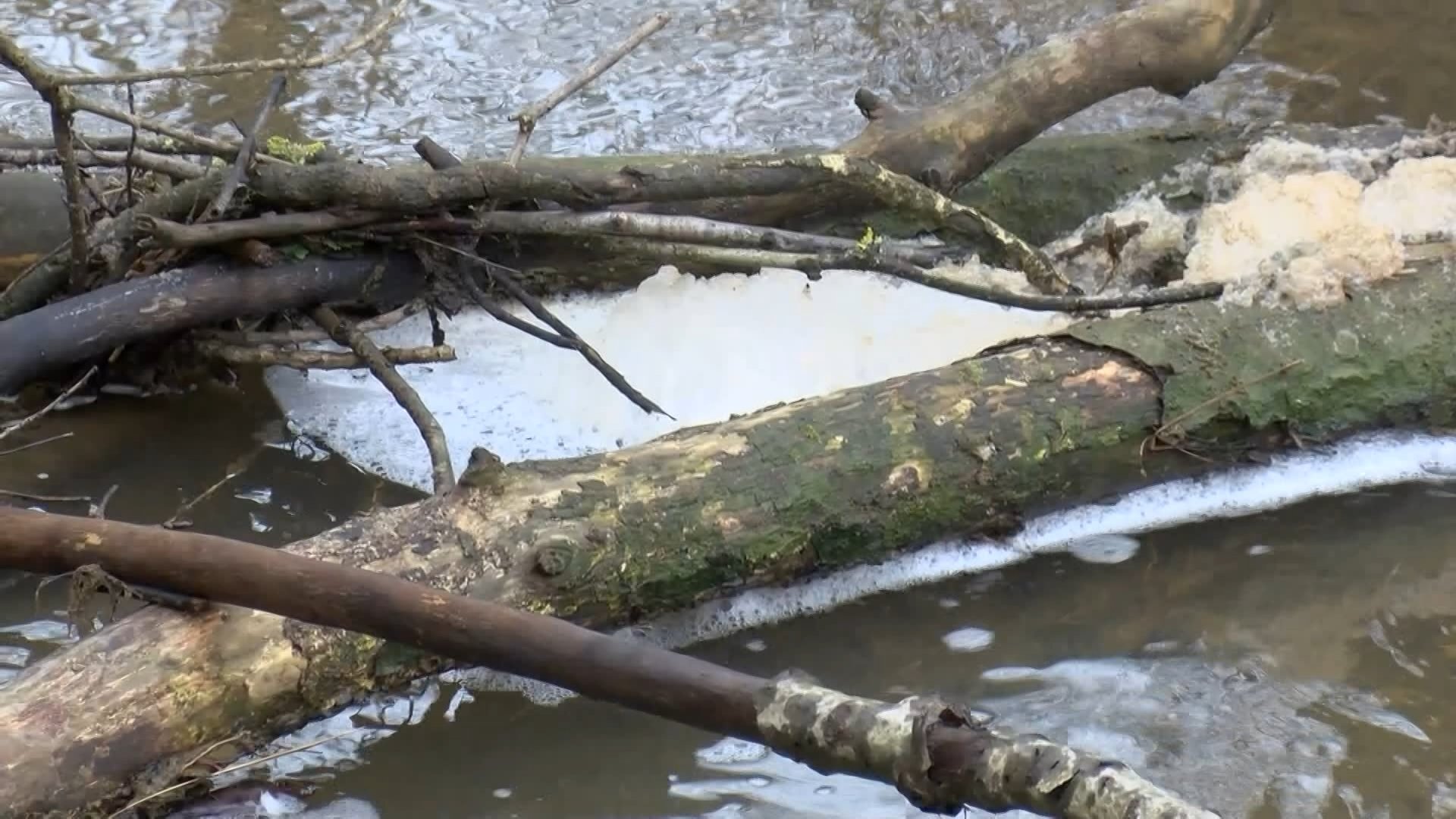 Pendik Ömerli Barajı kirlilik