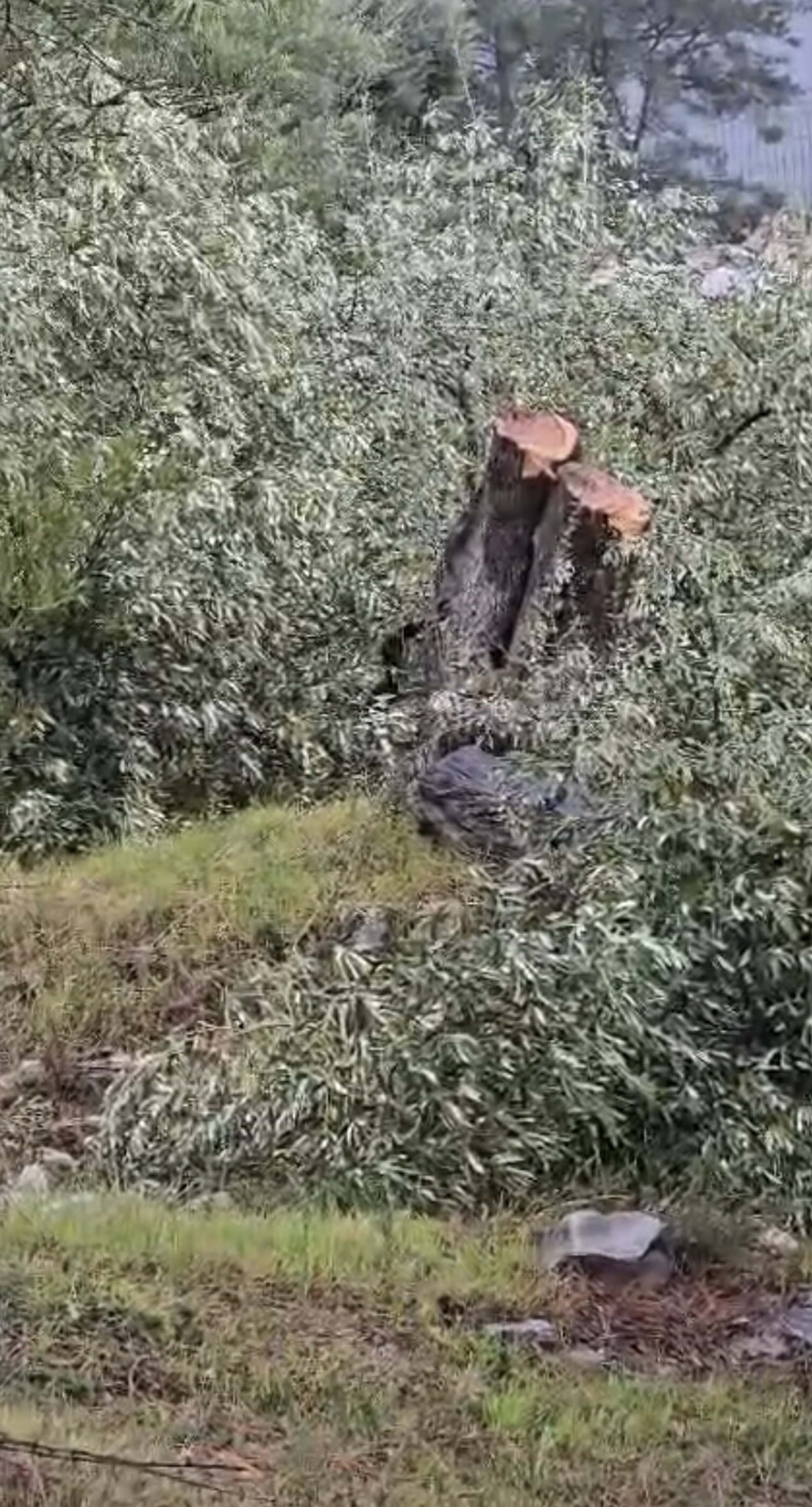 CHP Muğla İl Başkanlığı açıklama