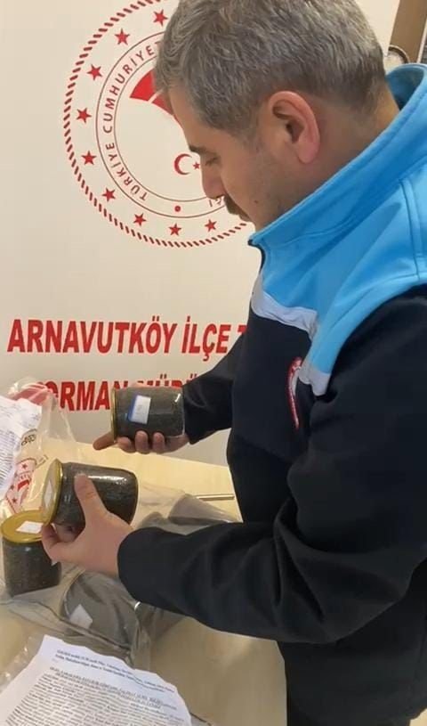 Kaçak Mersin Balığı Havyarı Ele Geçirildi