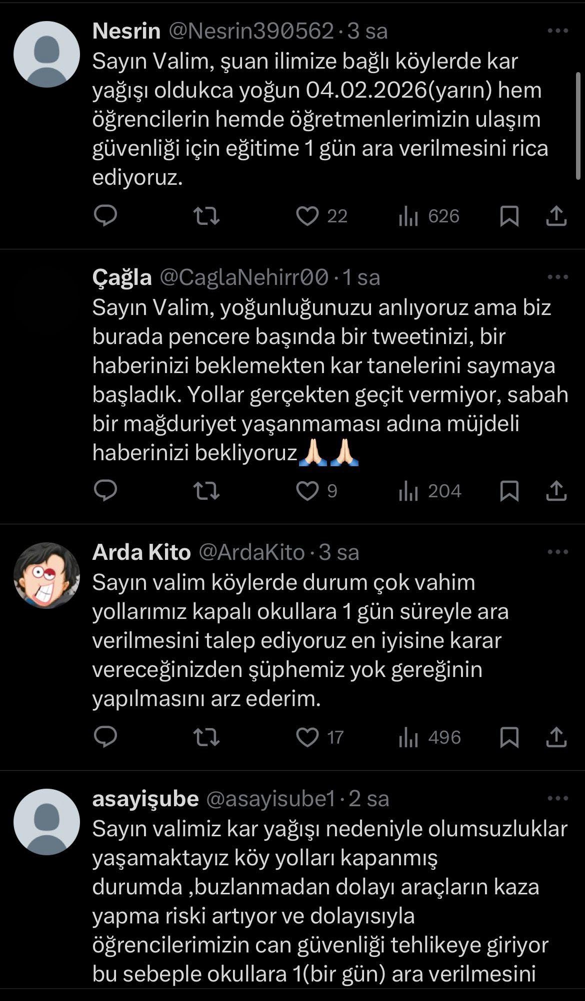 Ardahan kar yağışı