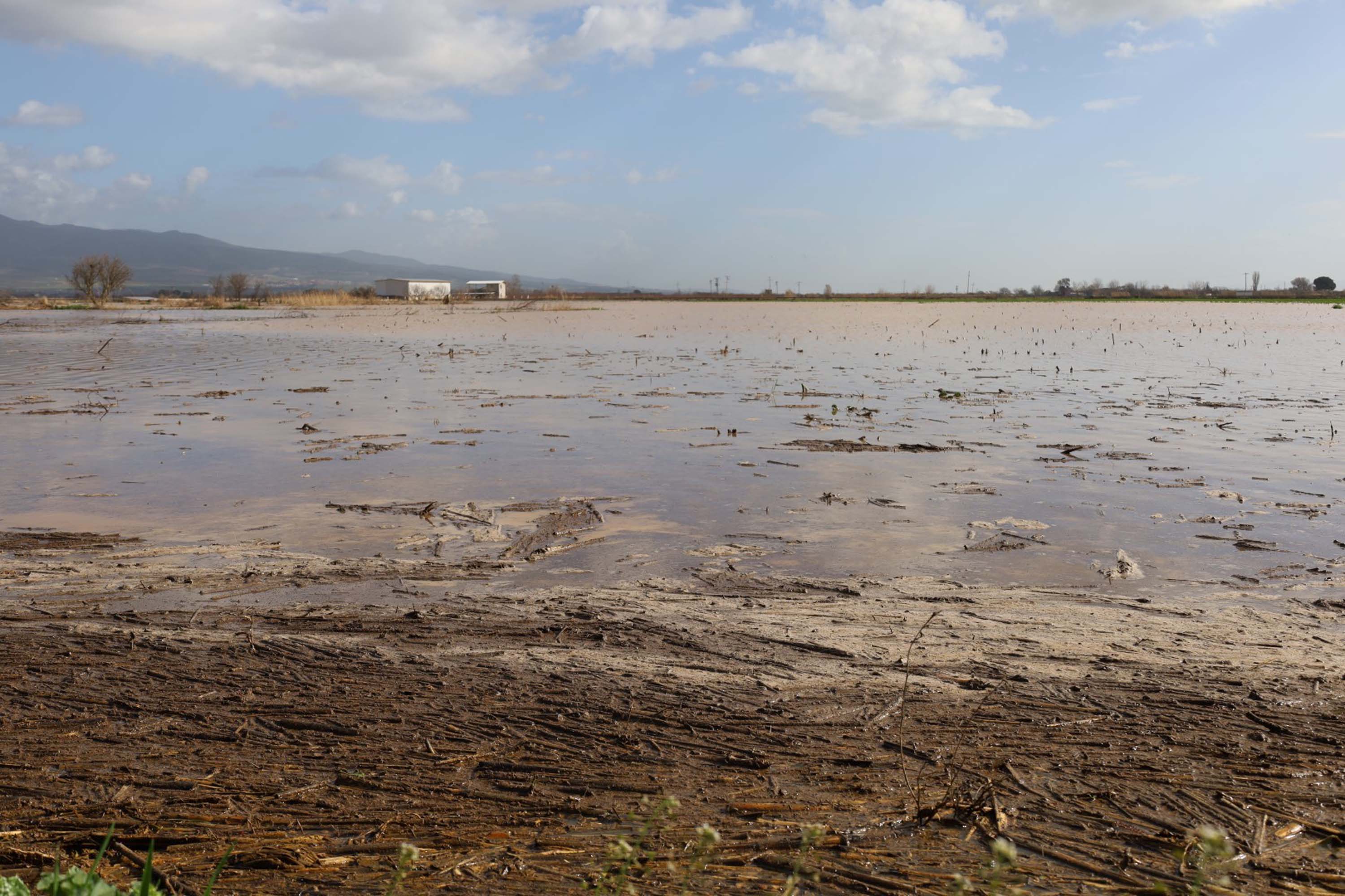 Selden Etkilenen Tarım Arazileri