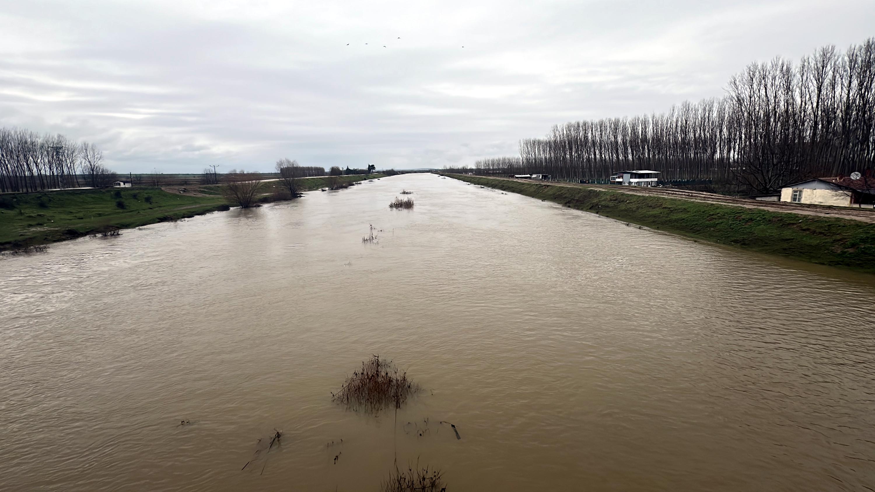 Meriç Nehri taşkın sahası Edirne