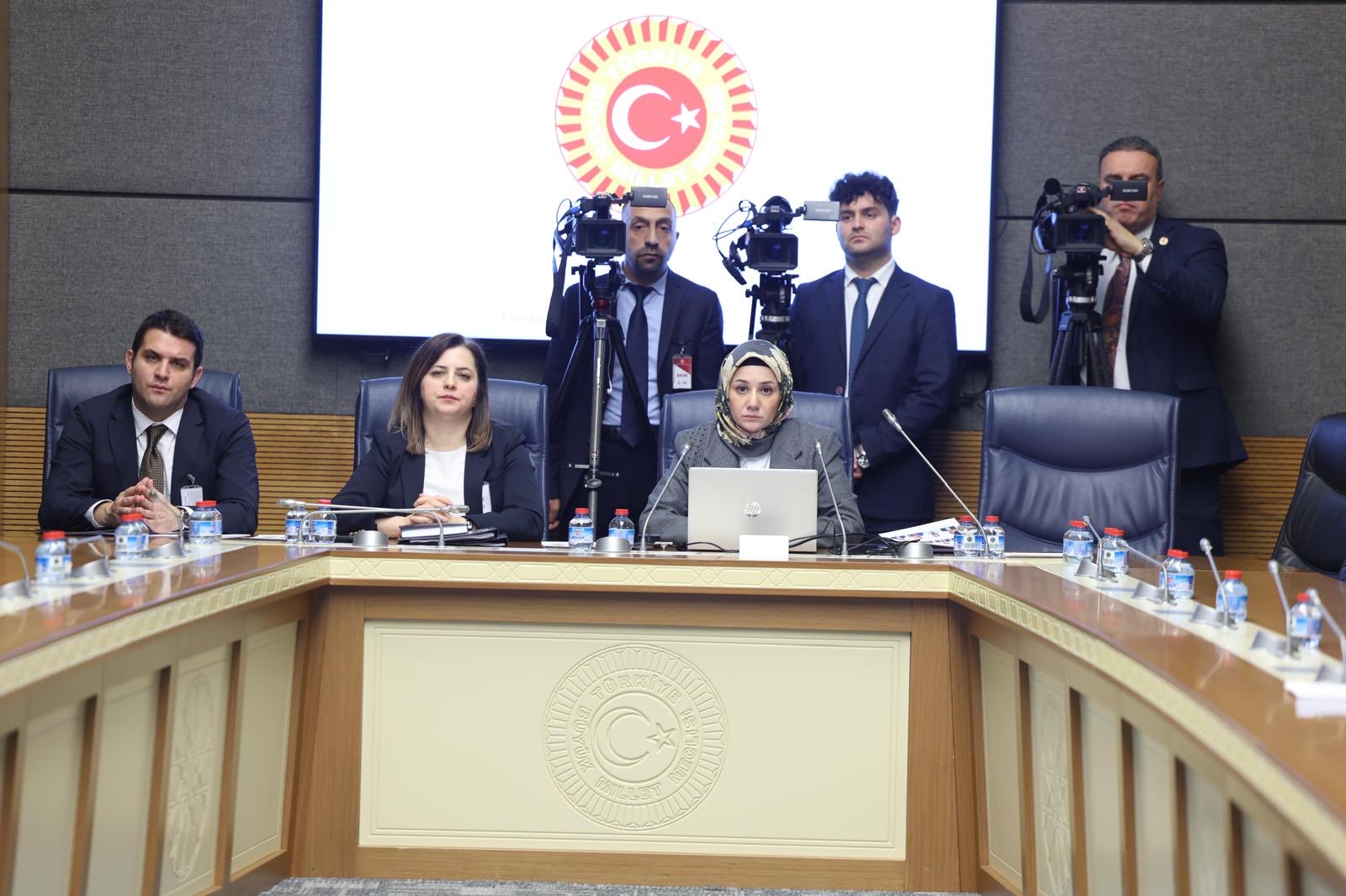 TBMM Suça Sürüklenen Çocuklara İlişkin Araştırma Komisyonu toplantısı