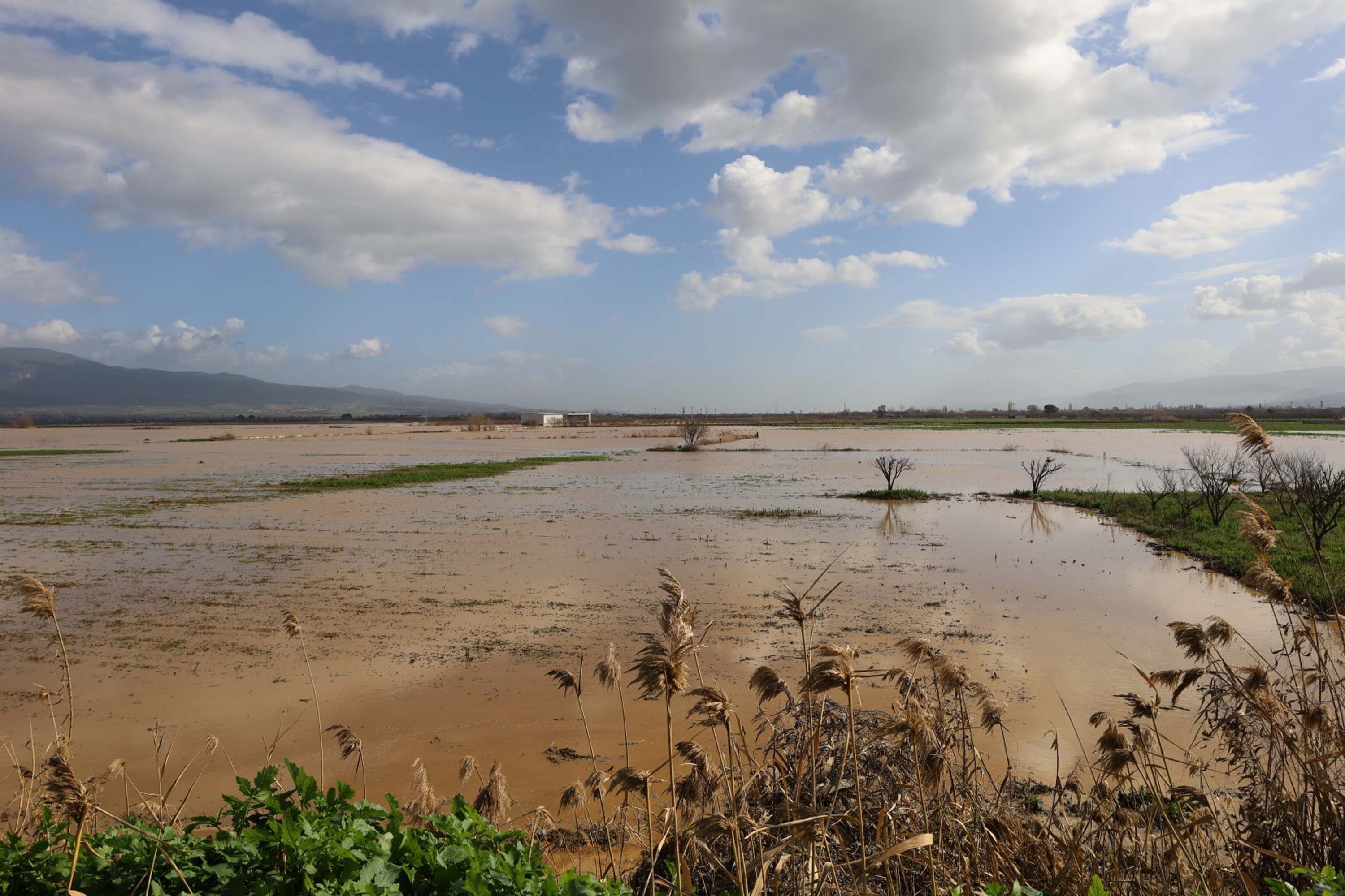 Irlamaz Çayı Taşkını Turgutlu