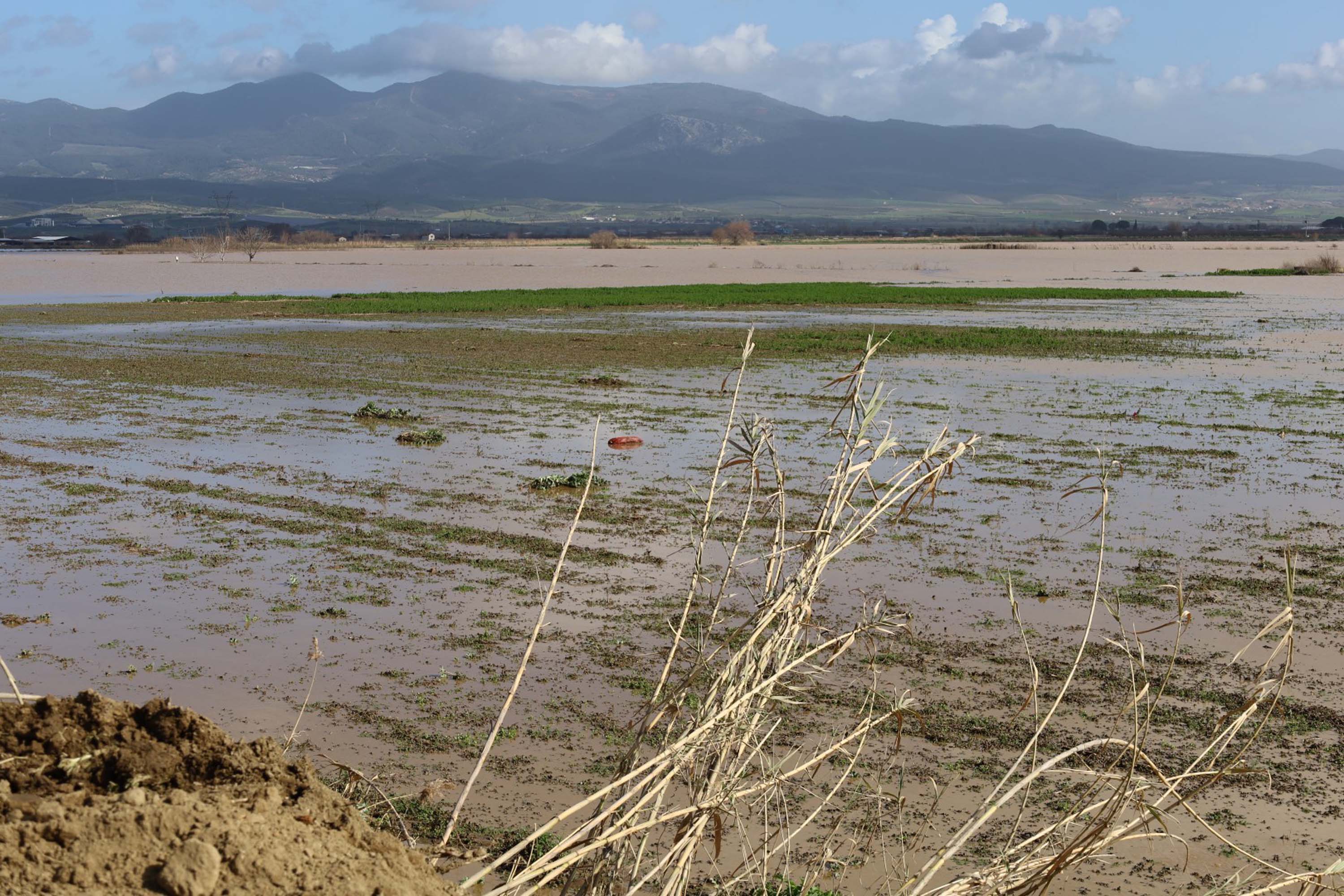 Turgutlu Ovası Sel Suları Altında