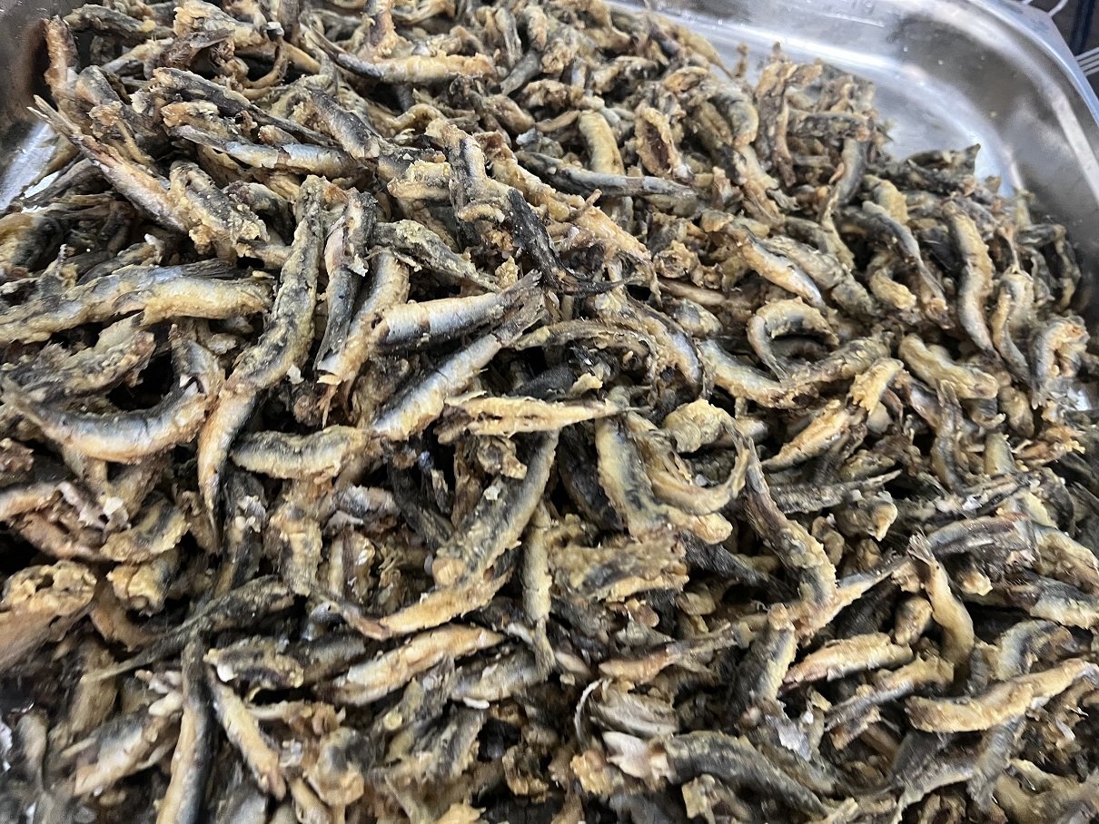 Esenler Belediye Başkanı Mehmet Tevfik Göksu Hamsi Festivali