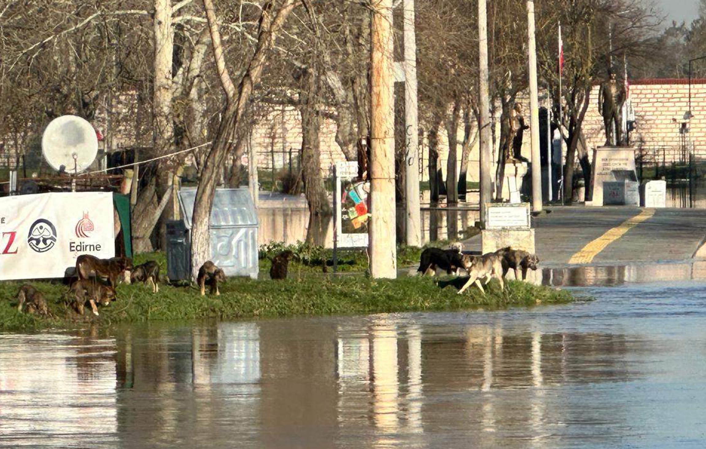 Tunca Nehri Kırmızı Alarm