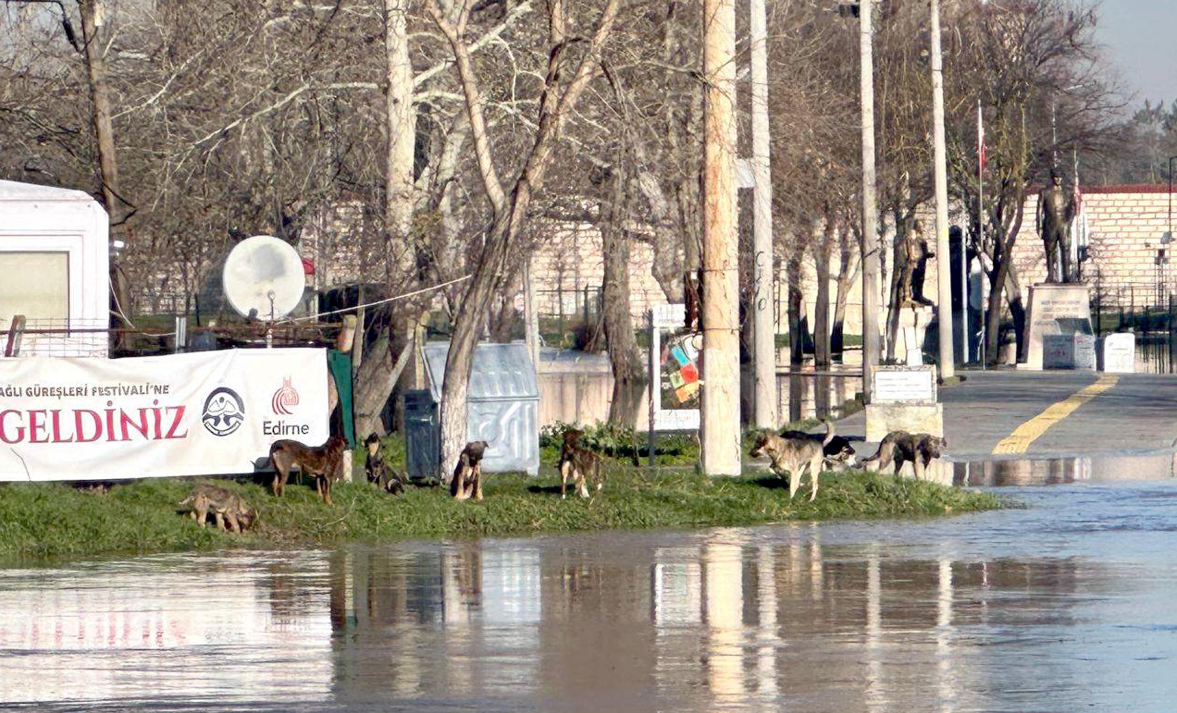 Edirne Tunca Nehri Taşkını