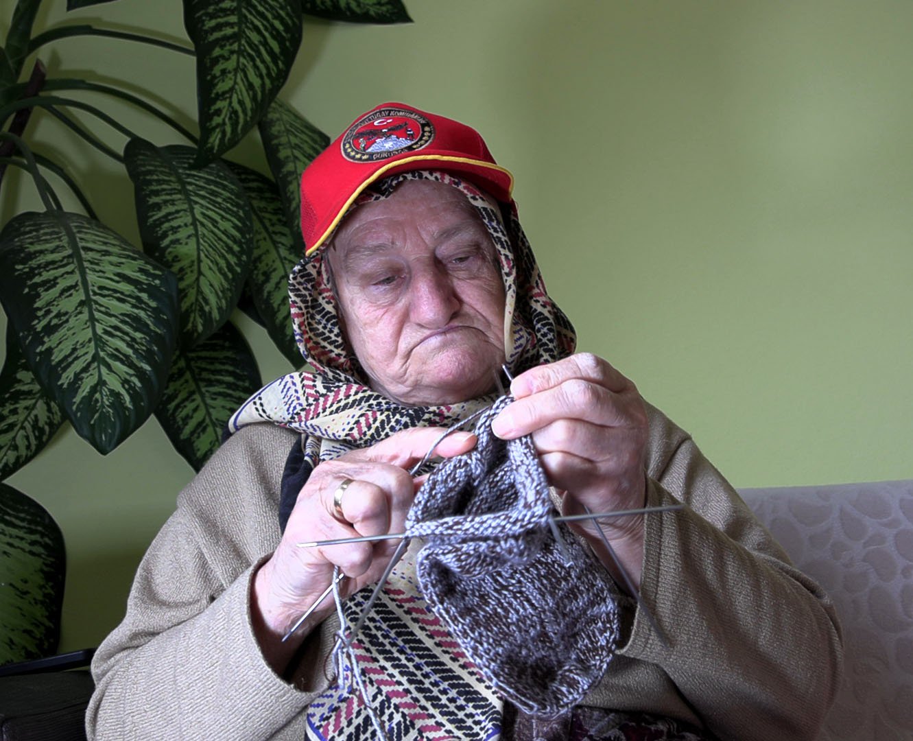 Örülmüş patikler