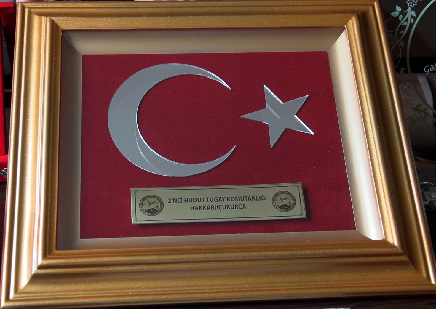 Hamide Kaldırım TSK plaketi