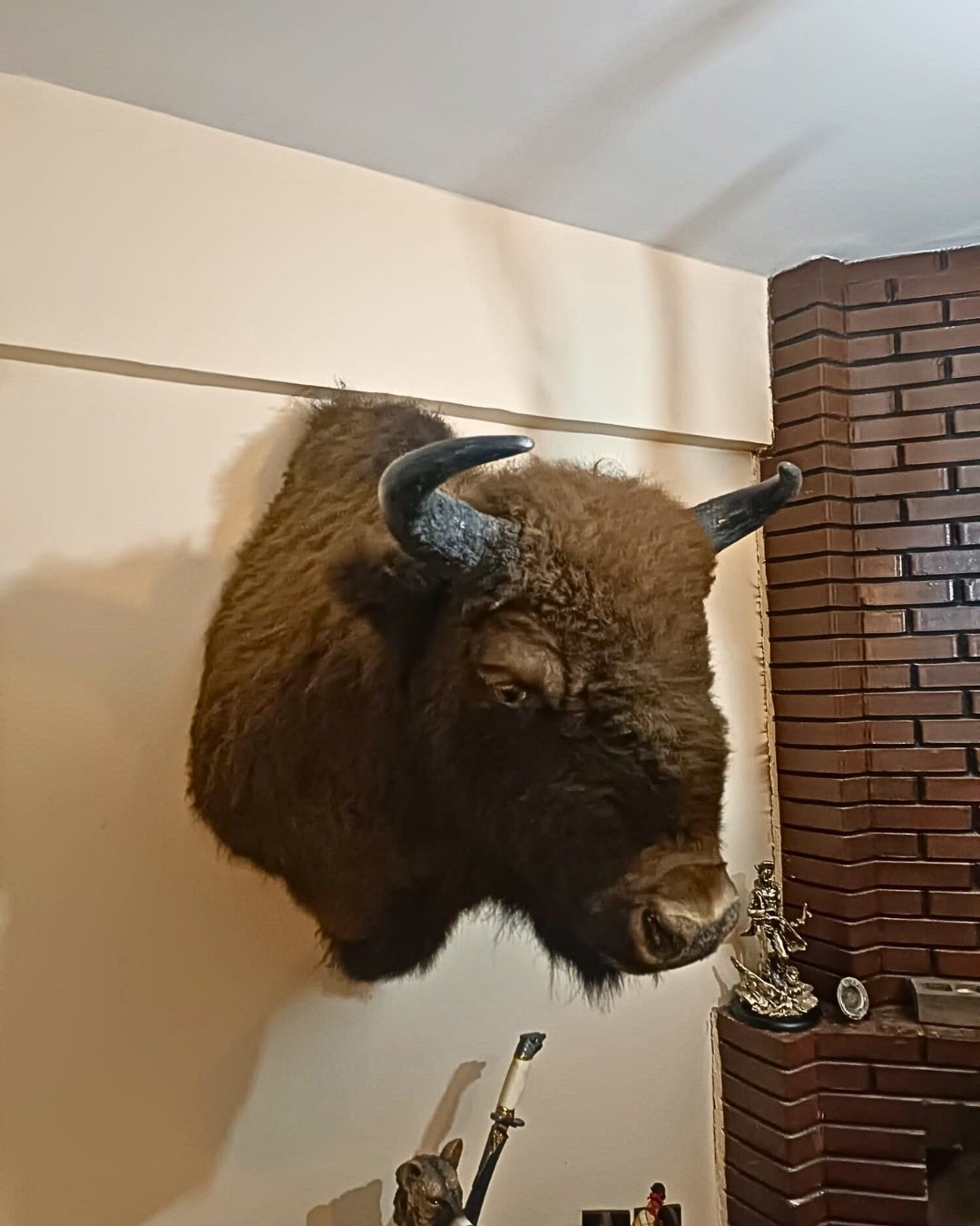 DKMP Tekirdağ operasyonu yaban hayvanı