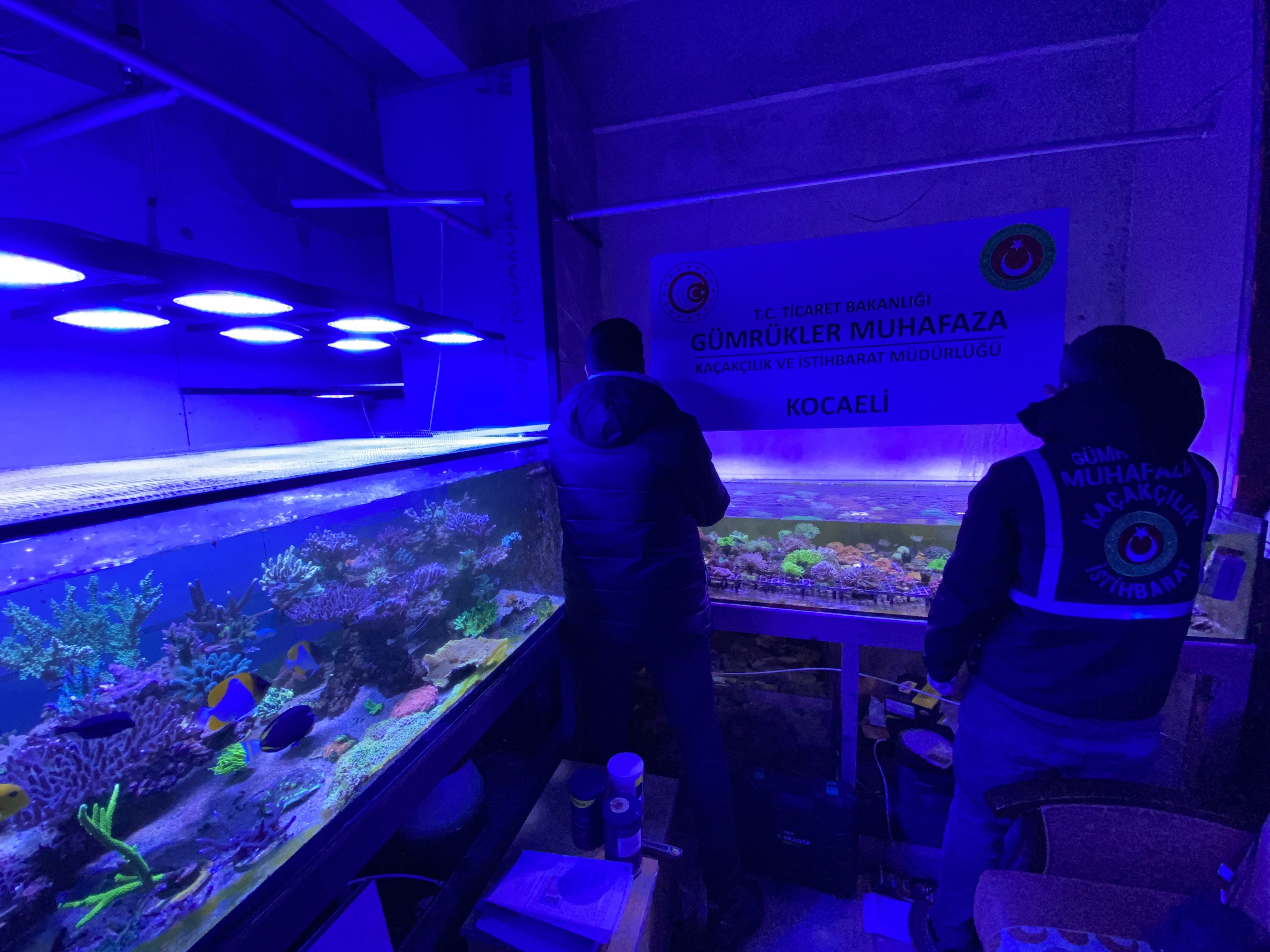 Ticaret Bakanlığı Gümrükler Muhafaza Operasyonu