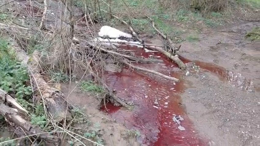 Kırmızı renkli dere Ömerli Barajı