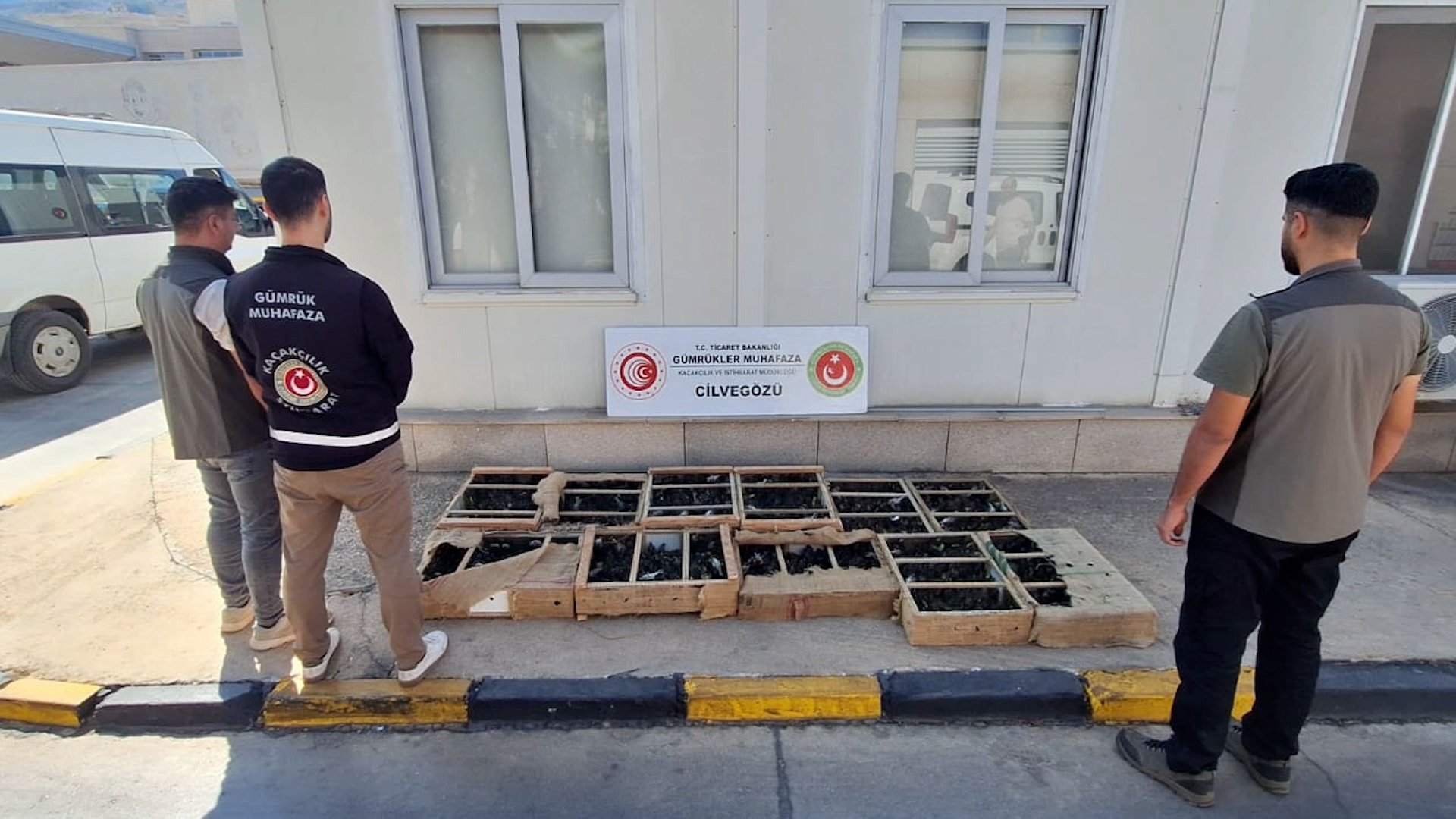 Hayvanların Rehabilitasyonu