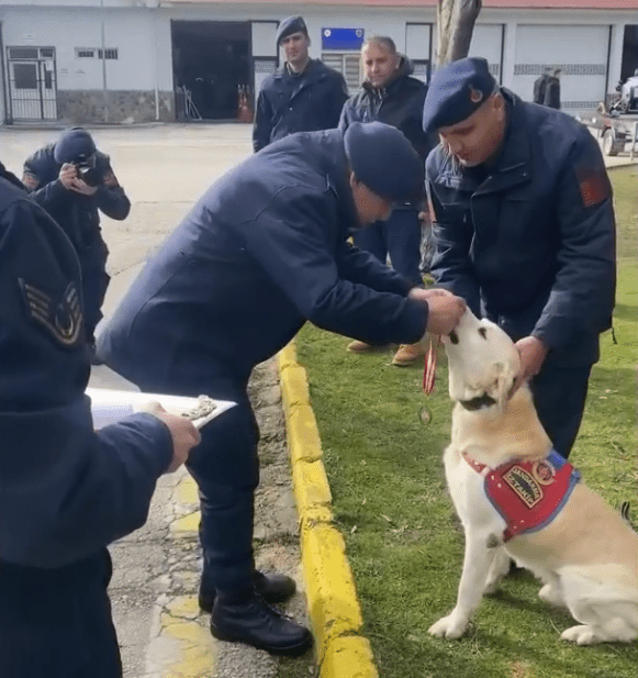 Bolu Jandarma Komutanlığı köpek Medyum