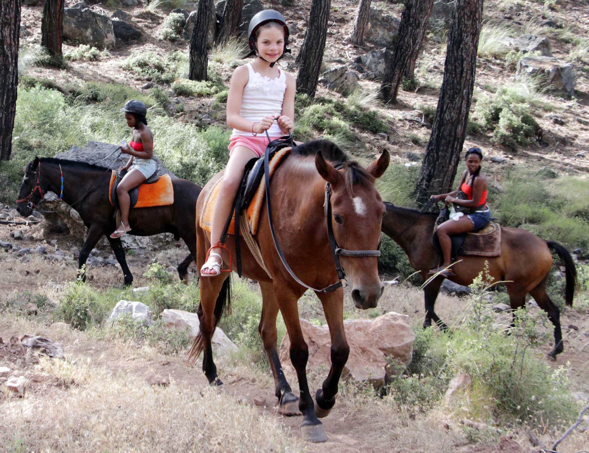 TÜİK hayvan varlığı at eşek katır sayısı azalış