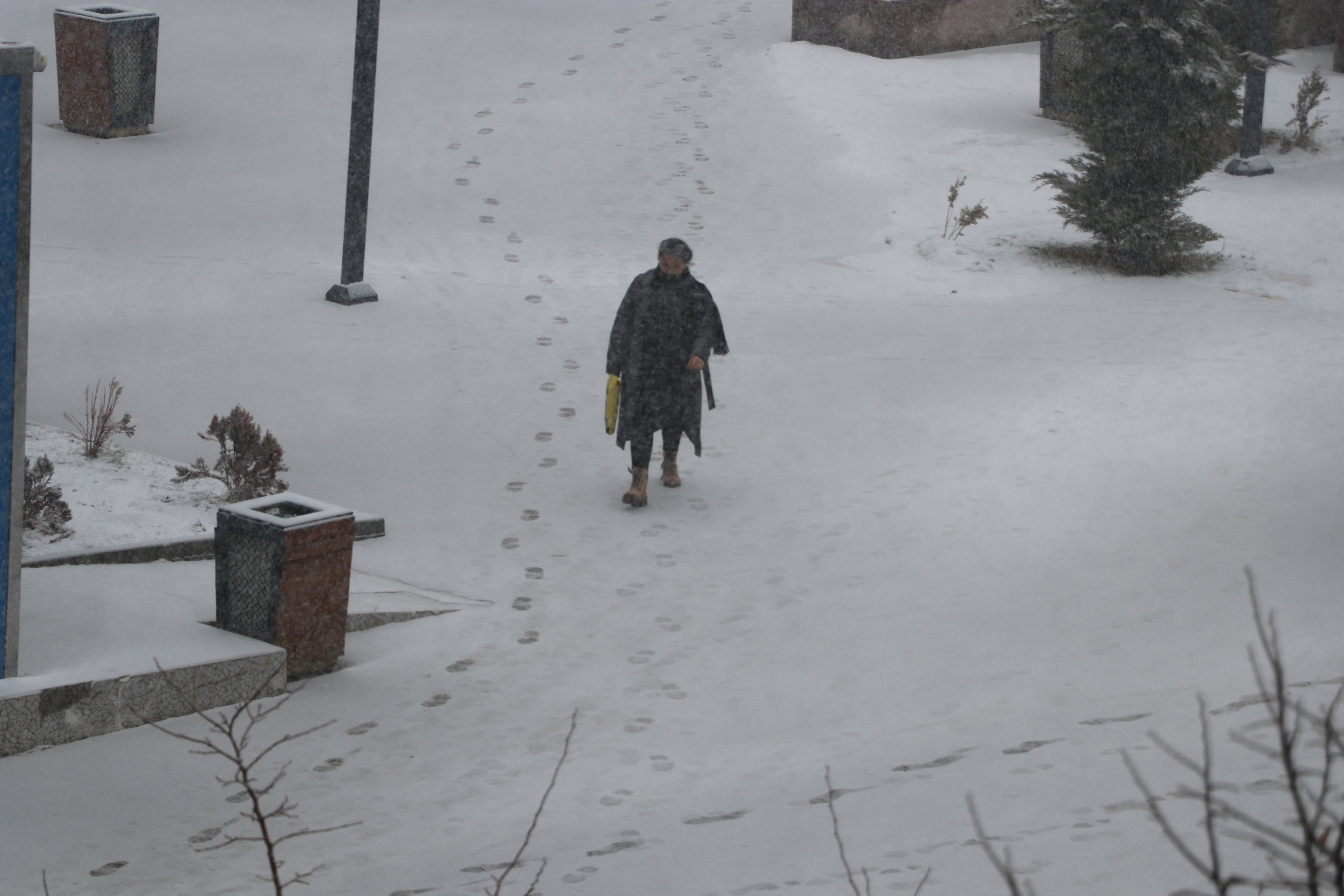 Van karla mücadele ekipleri