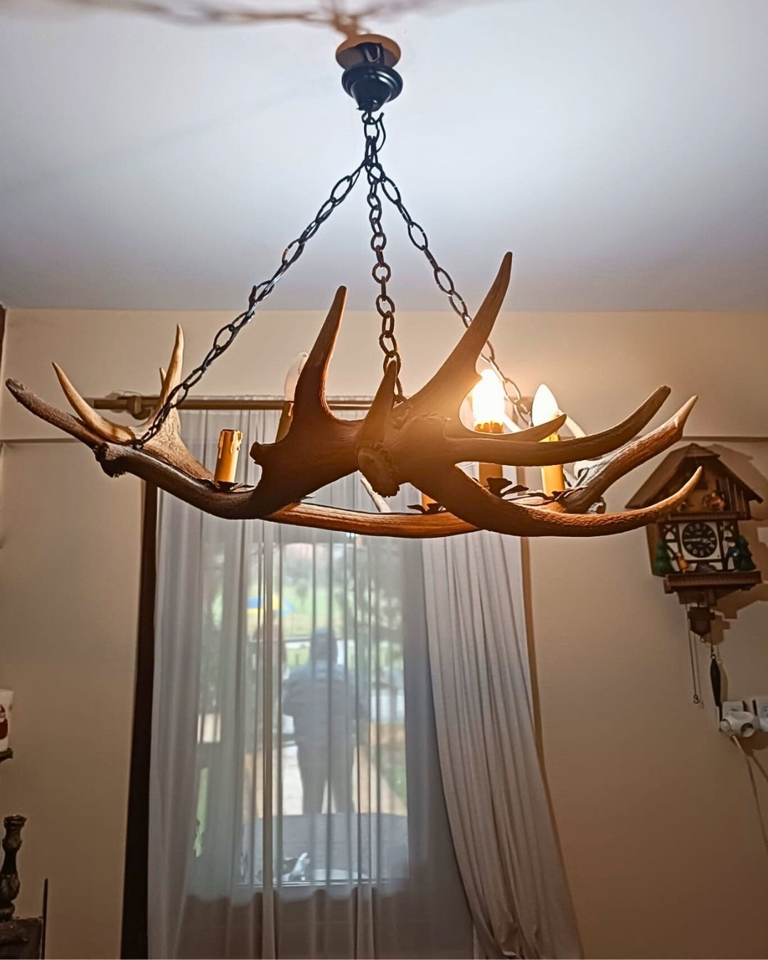 DKMP yaban hayatı koruma operasyonu