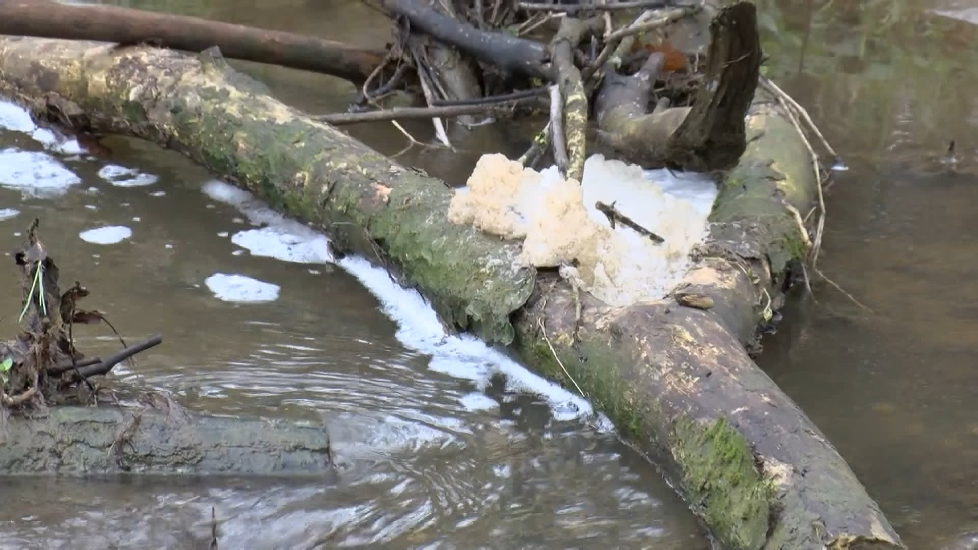 Ömerli Barajı su kirliliği