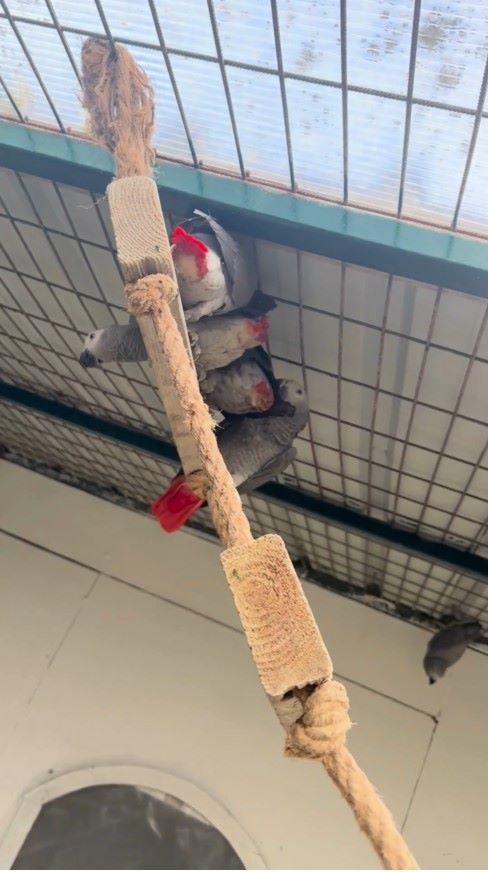 Kaçakçılıkla mücadele İstanbul Havalimanı