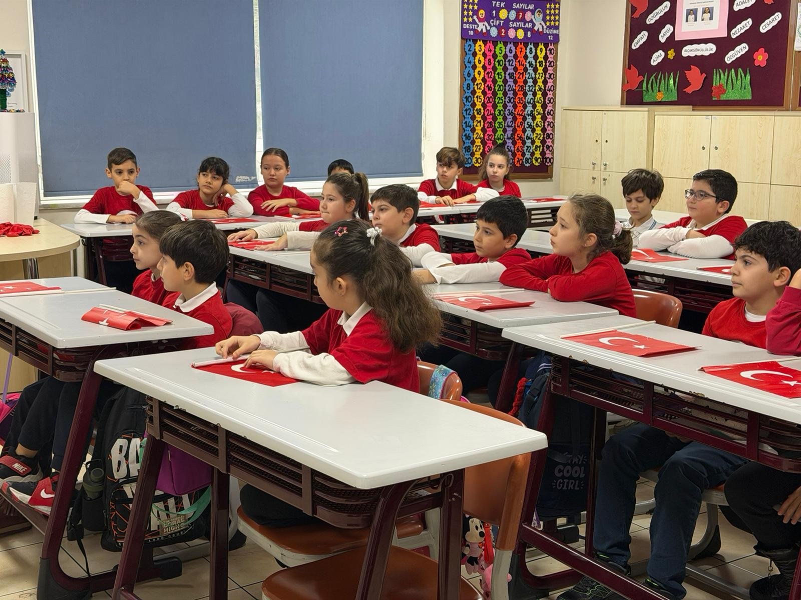 Milli Eğitim Bakanlığı Bayrak Sevgisi Dersi