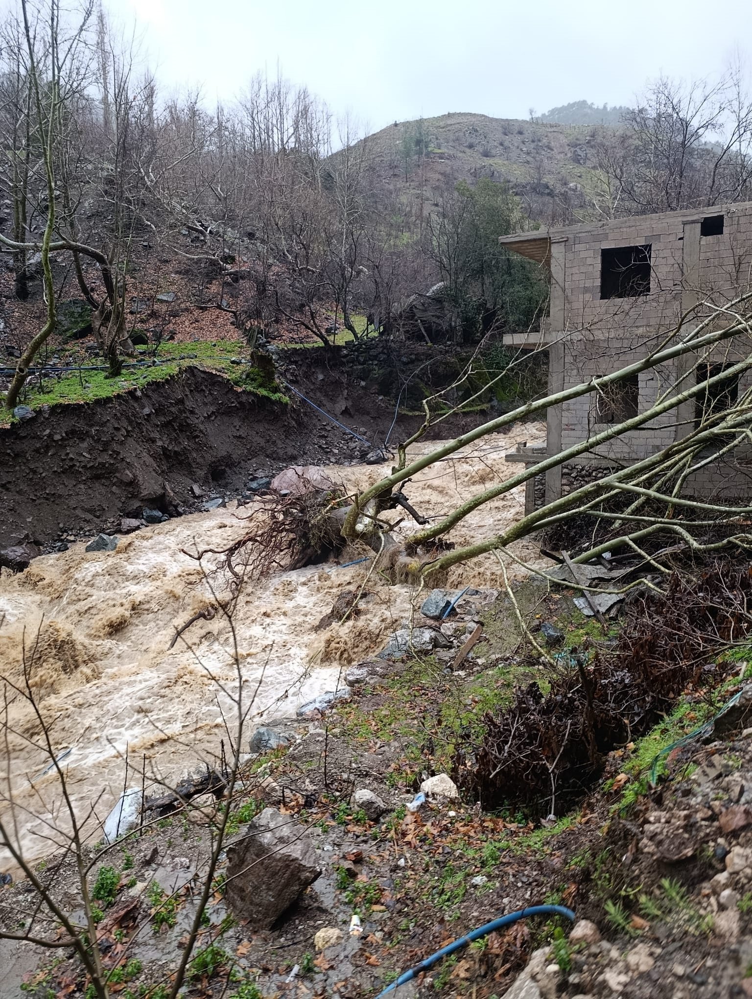 Yahyalı sel su baskını