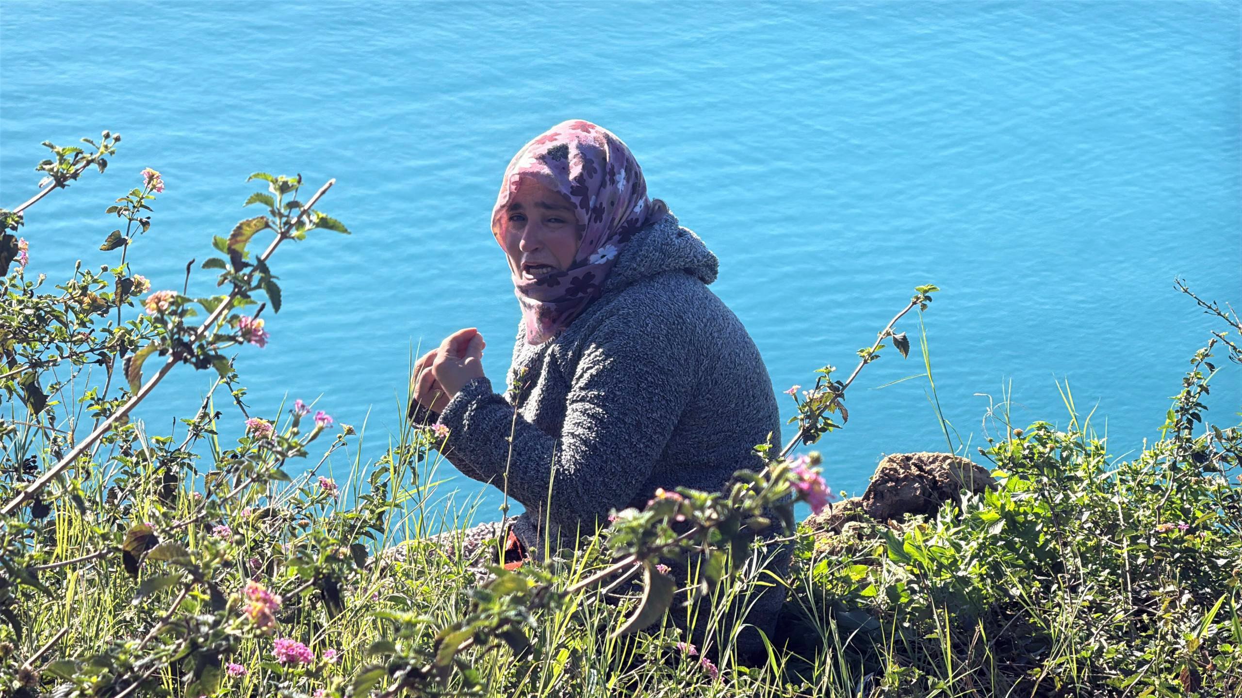 Aile ve Sosyal Hizmetler Bakanlığı
