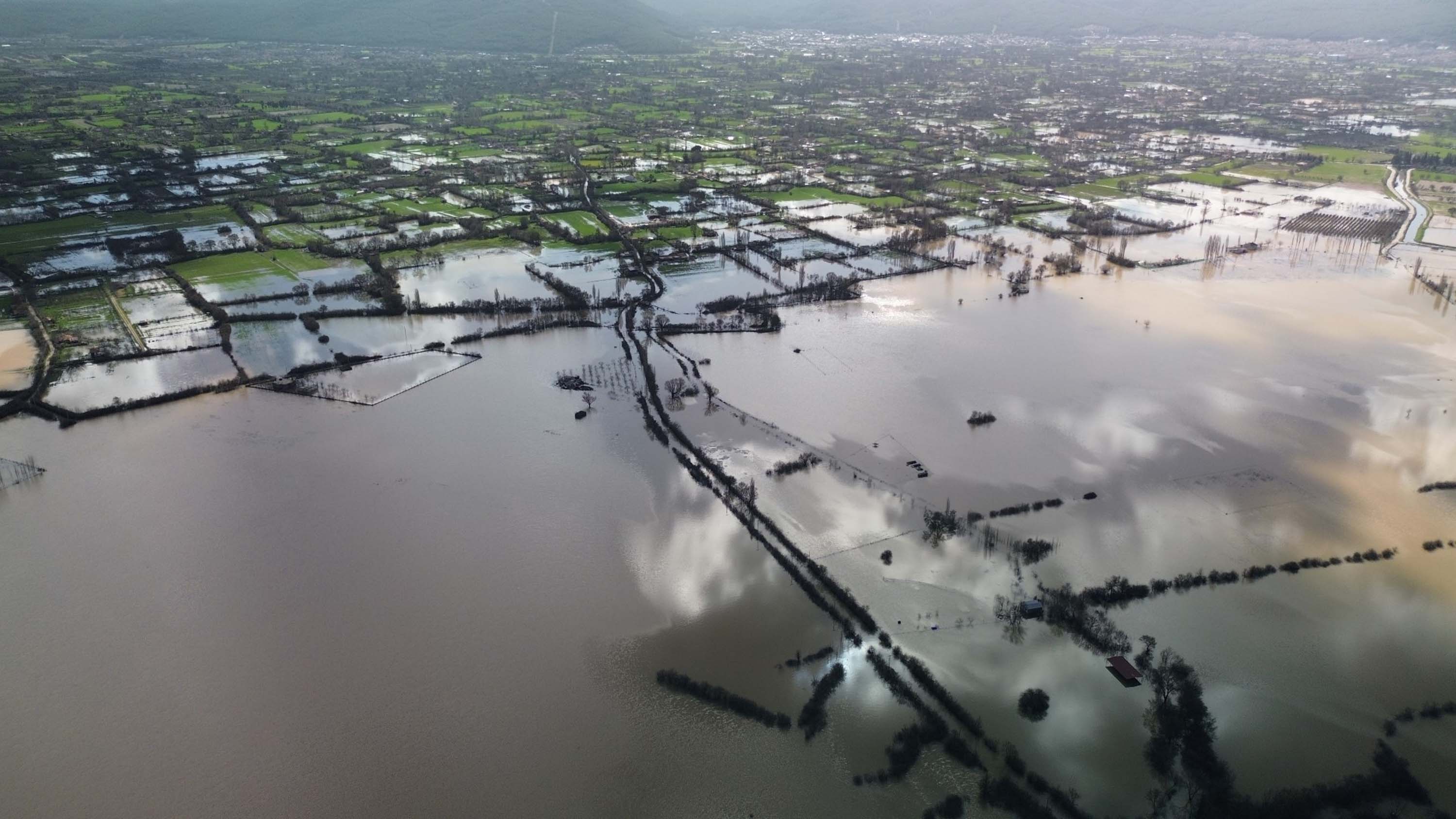 Muğla sel felaketi tarım